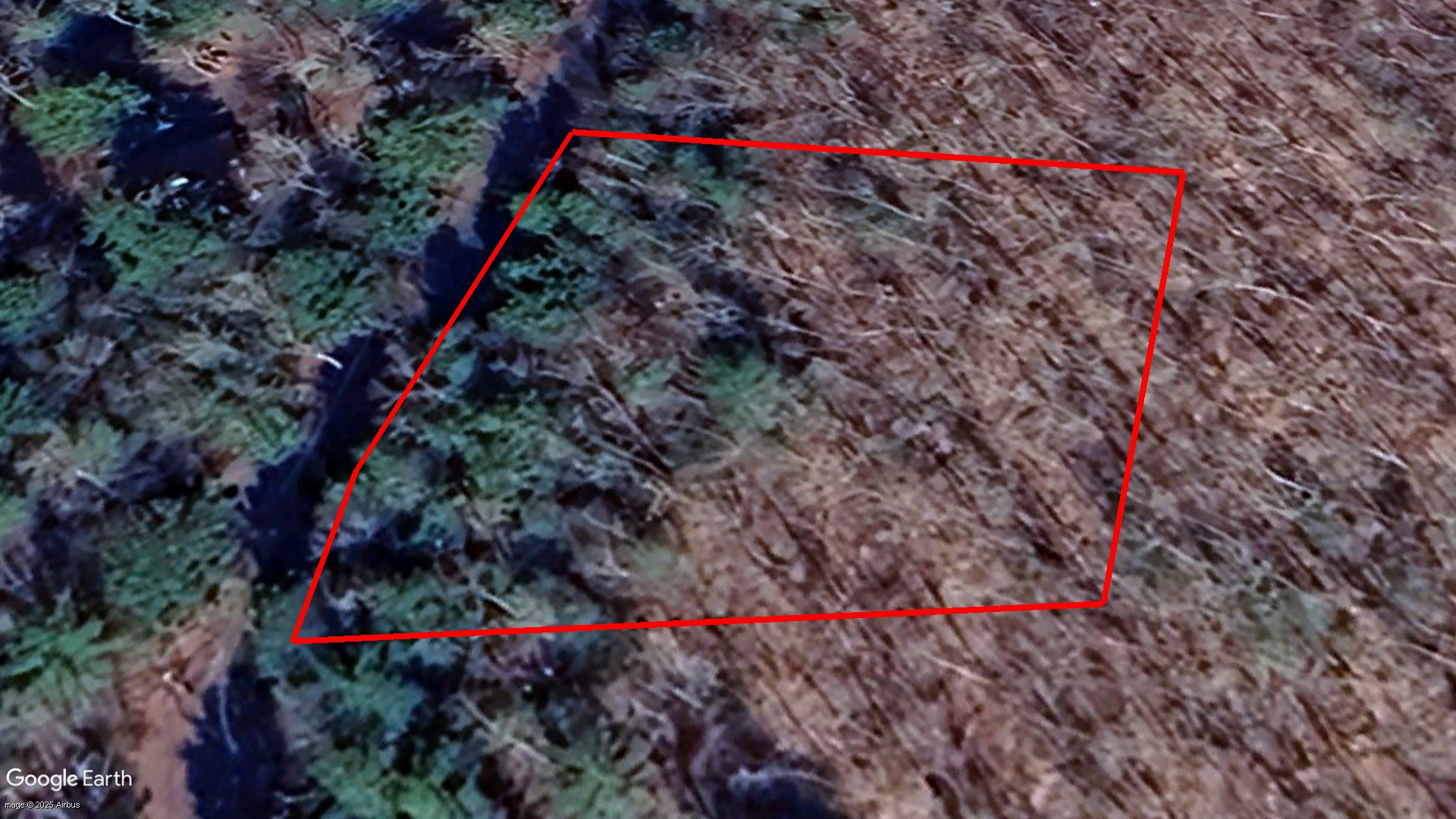 Tax Sale Queens, Nova Scotia - 02221772