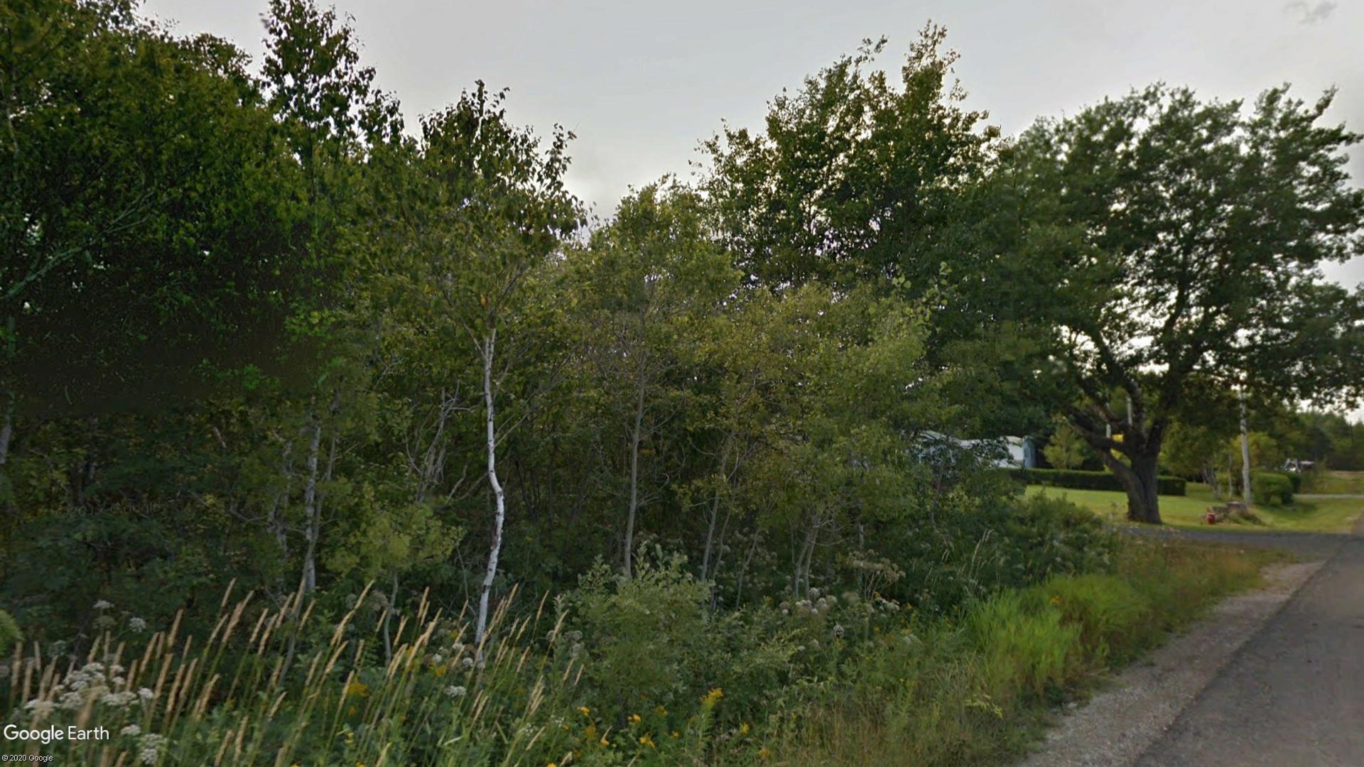 Tax Sale Cape Breton, Nova Scotia - 7297971 