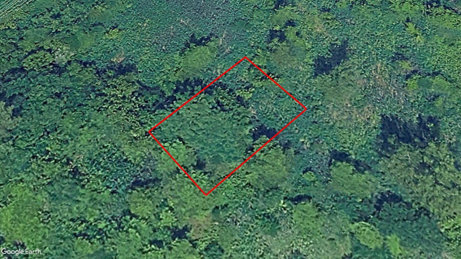 Tax Sale Montreal, Quebec - 872664-00