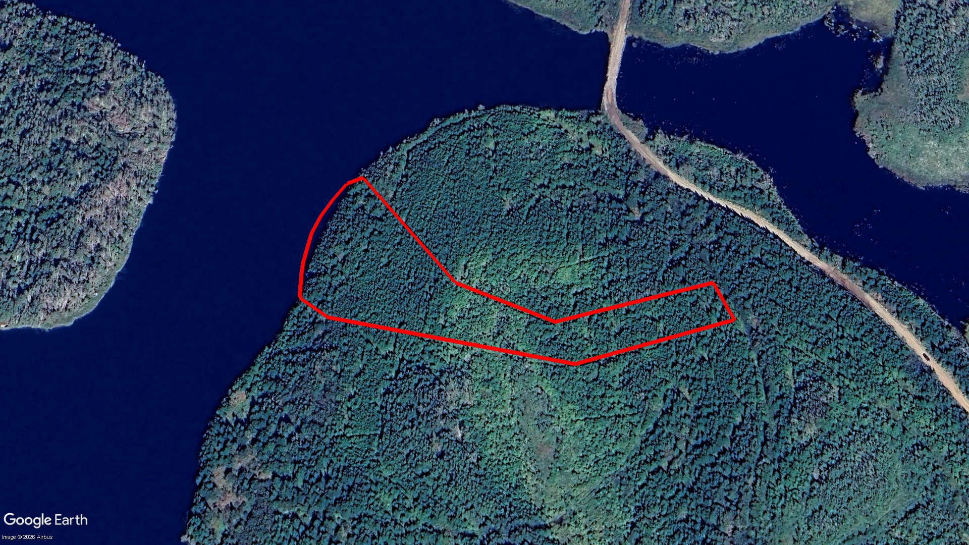 Pig Point RD, Framboise