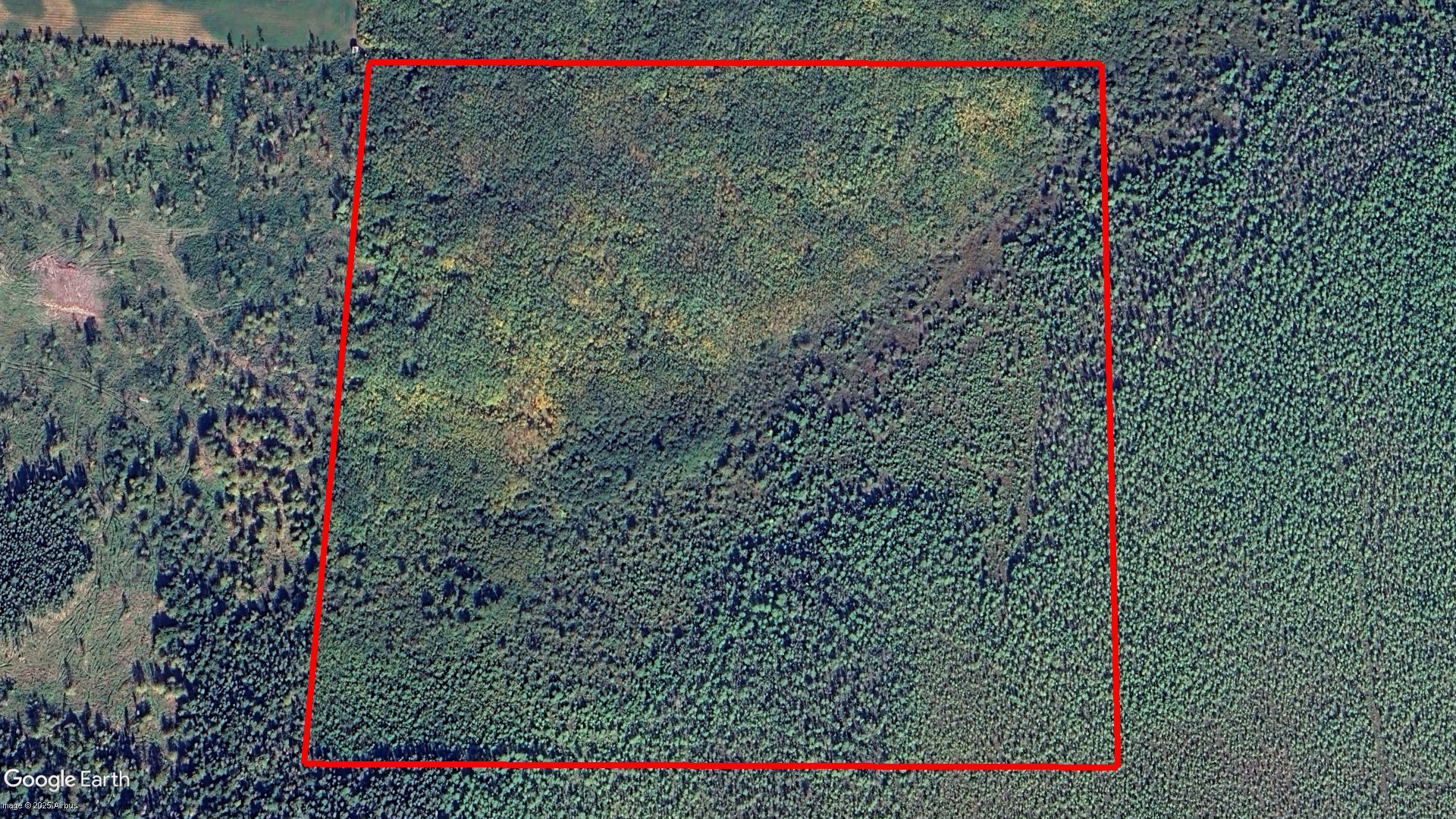 Tax Sale Dawson, Ontario - 