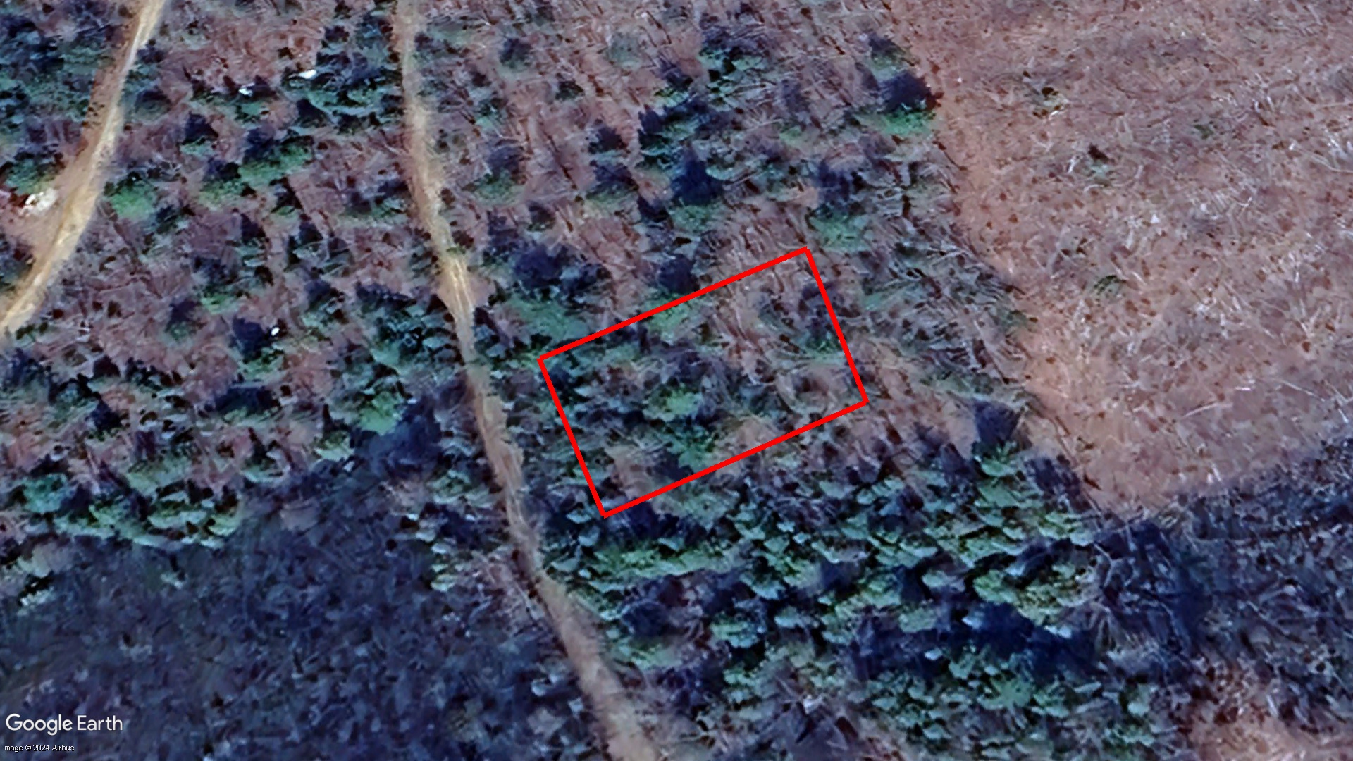 Tax Sale Gloucester, New Brunswick - 03169667