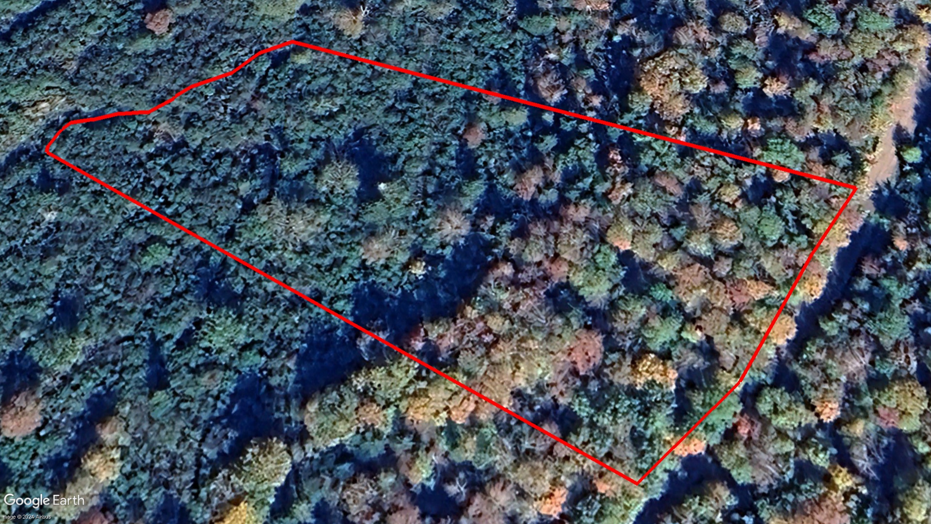 Tax Sale Antigonish, Nova Scotia - 09349219