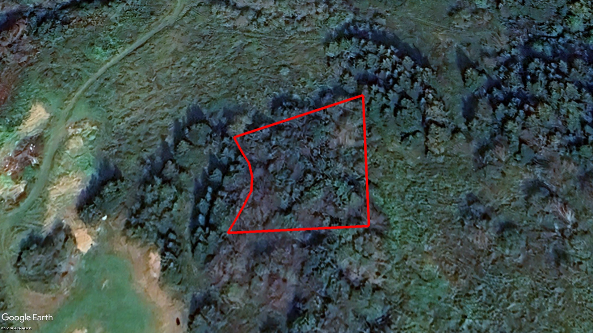 Tax Sale Cape Breton, Nova Scotia - 10301181