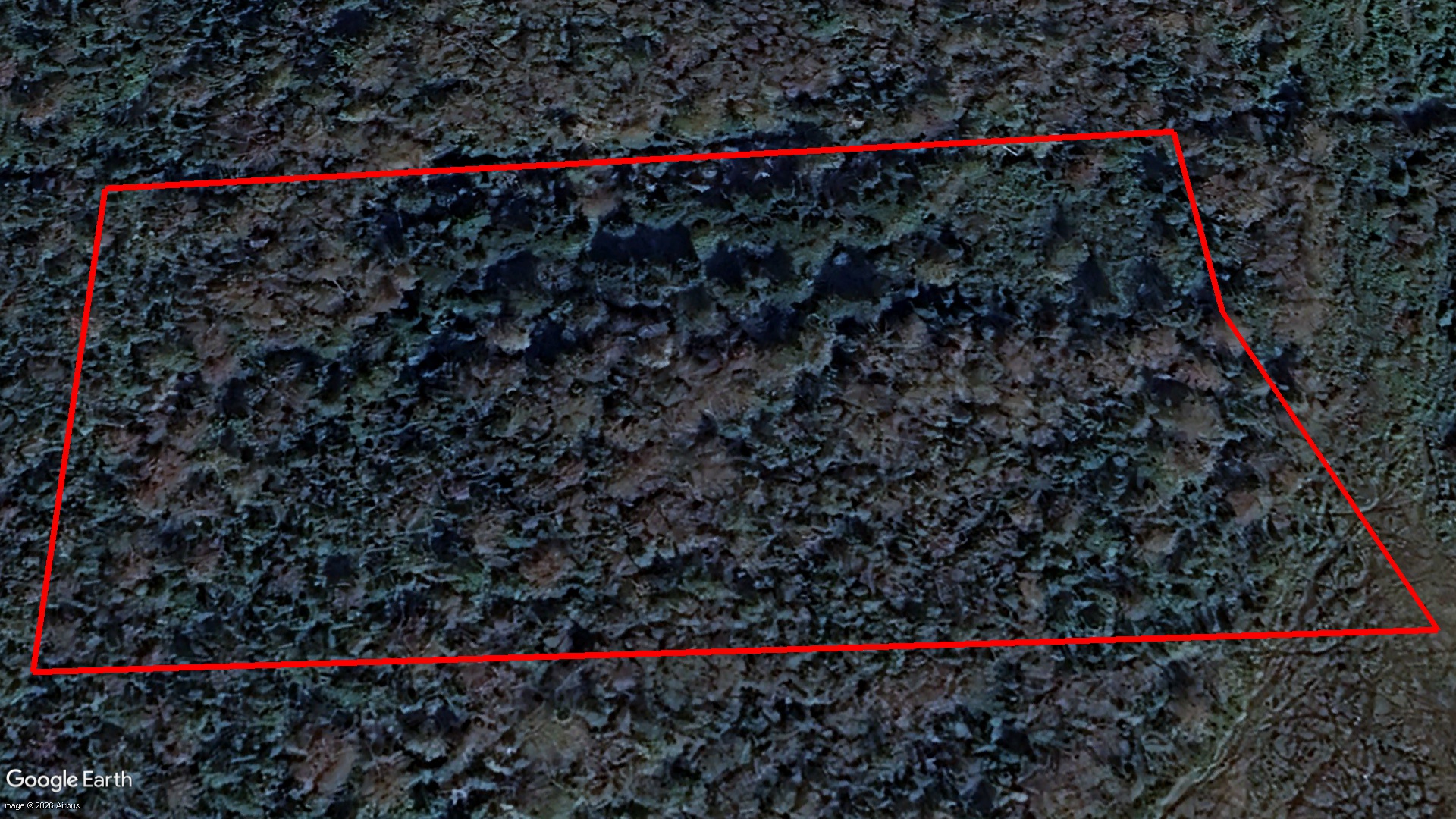 Tax Sale Shelburne, Nova Scotia - 02731274