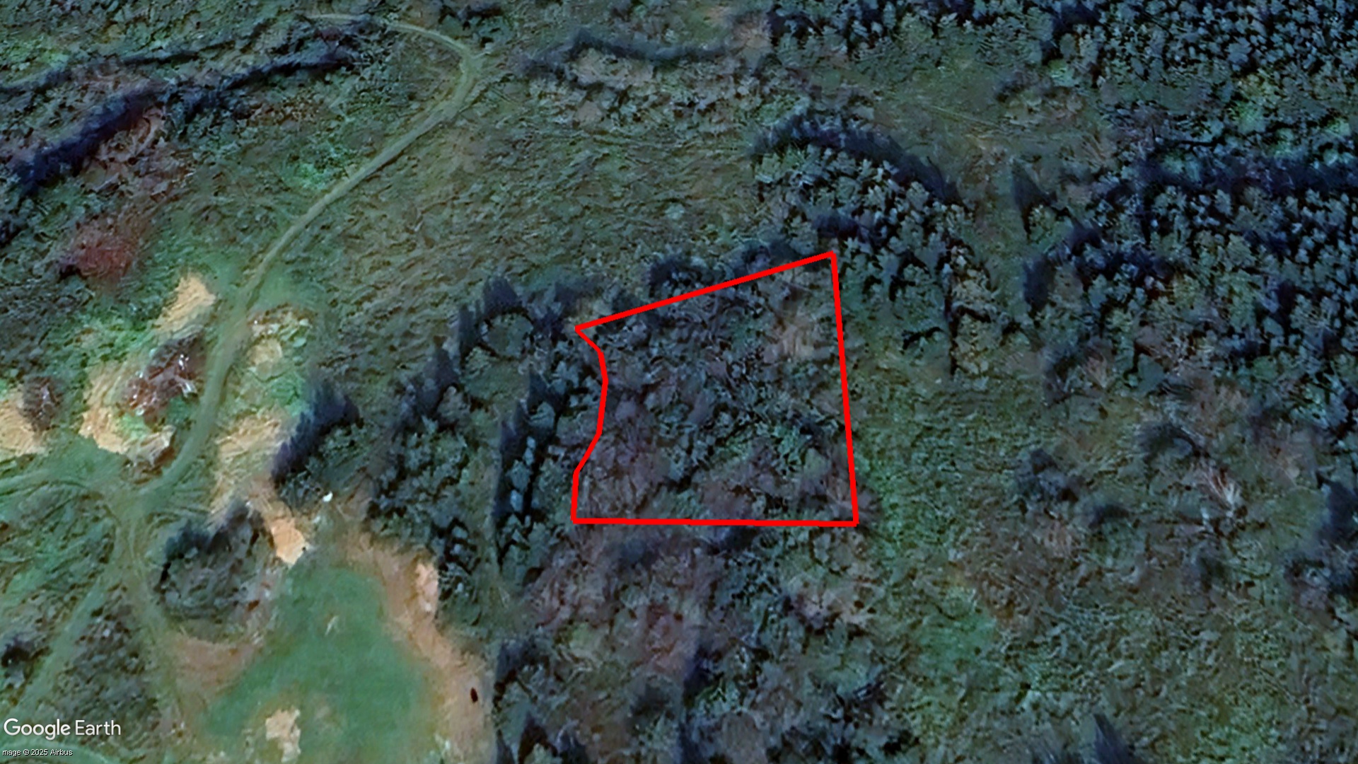 Tax Sale Cape Breton, Nova Scotia - 10301181