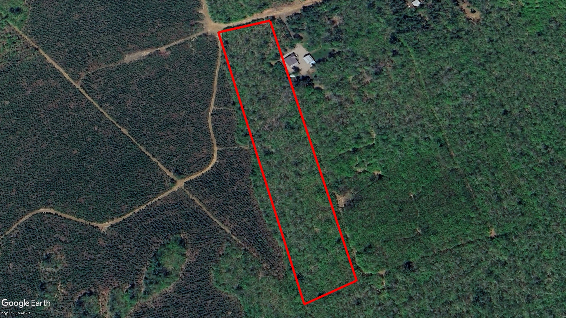 Tax Sale Albert Westmorland, New Brunswick - 01735666