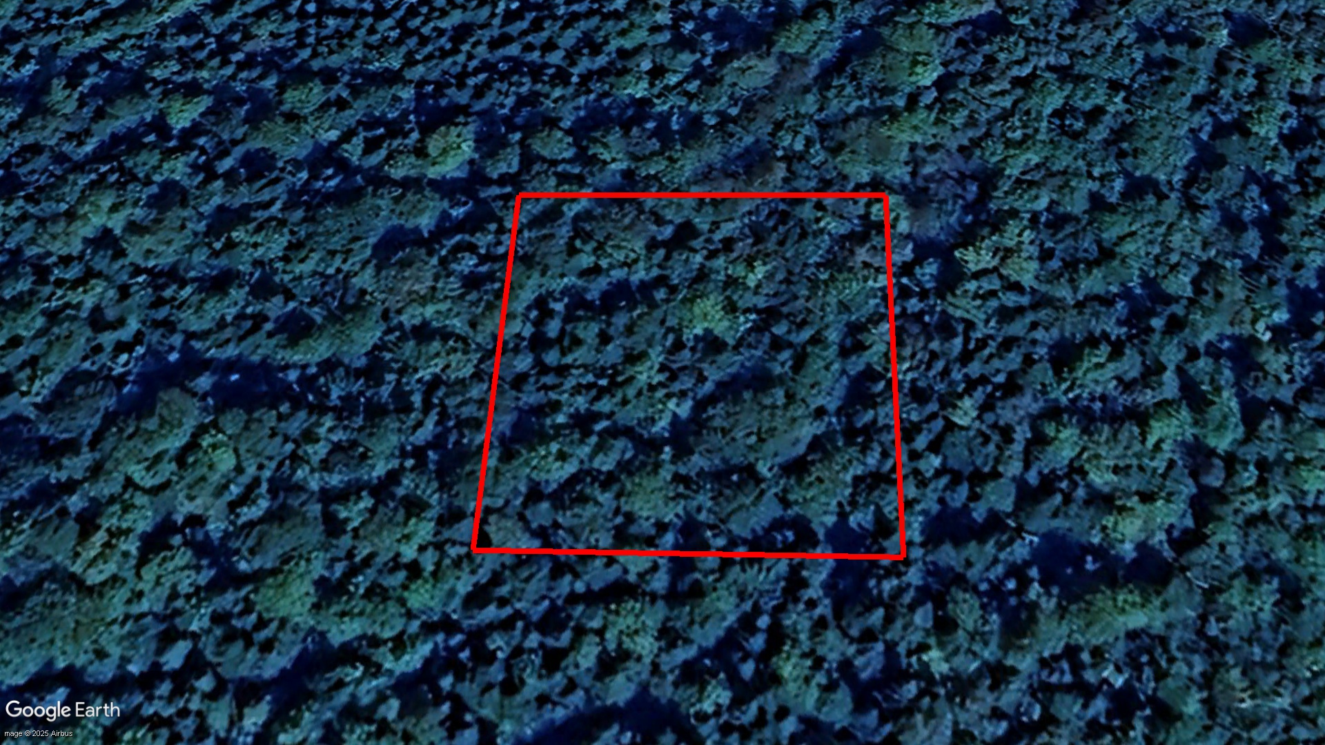 Tax Sale Restigouche, New Brunswick - 03289629