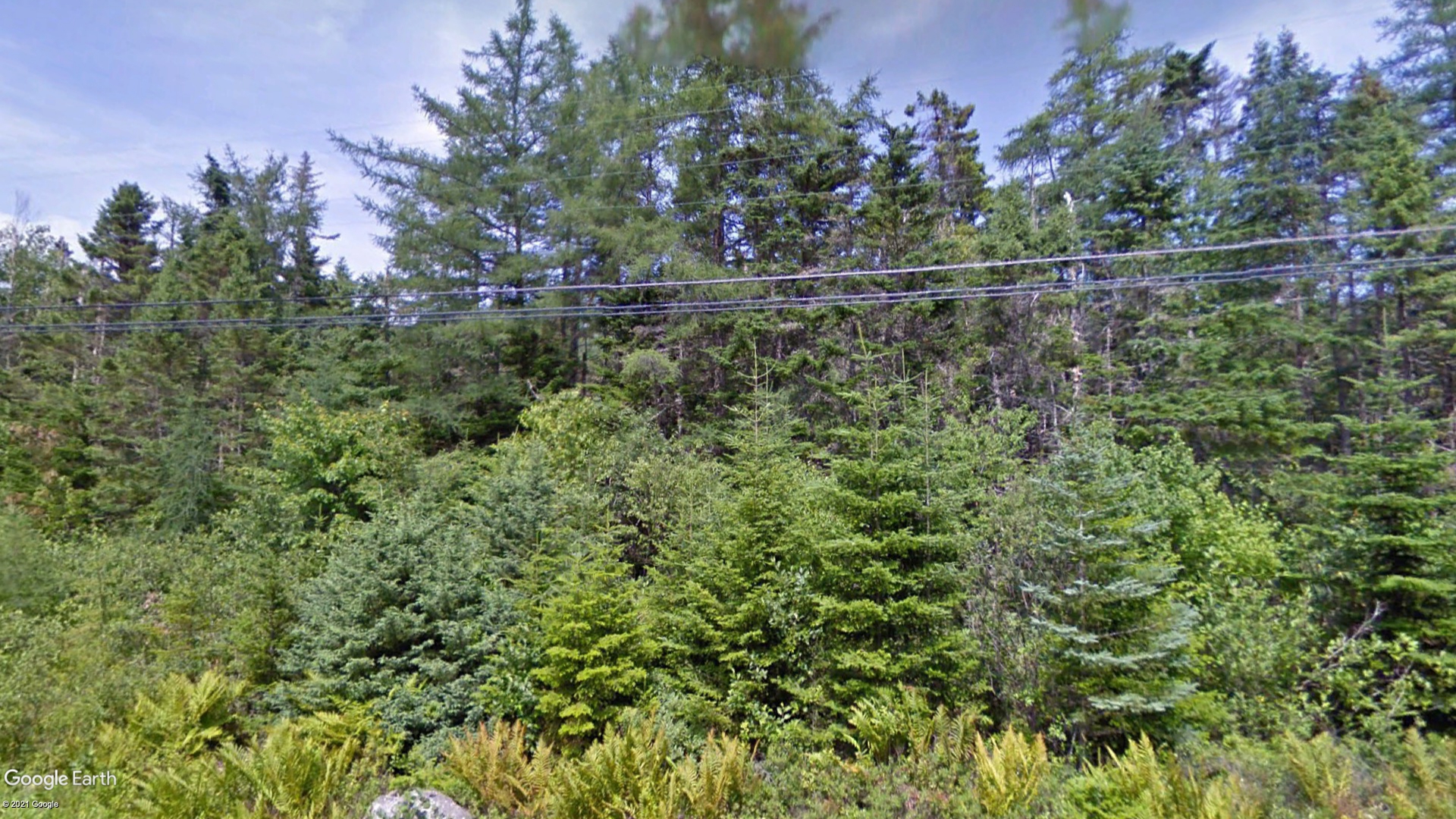 Tax Sale St. Mary's, Nova Scotia - 754579