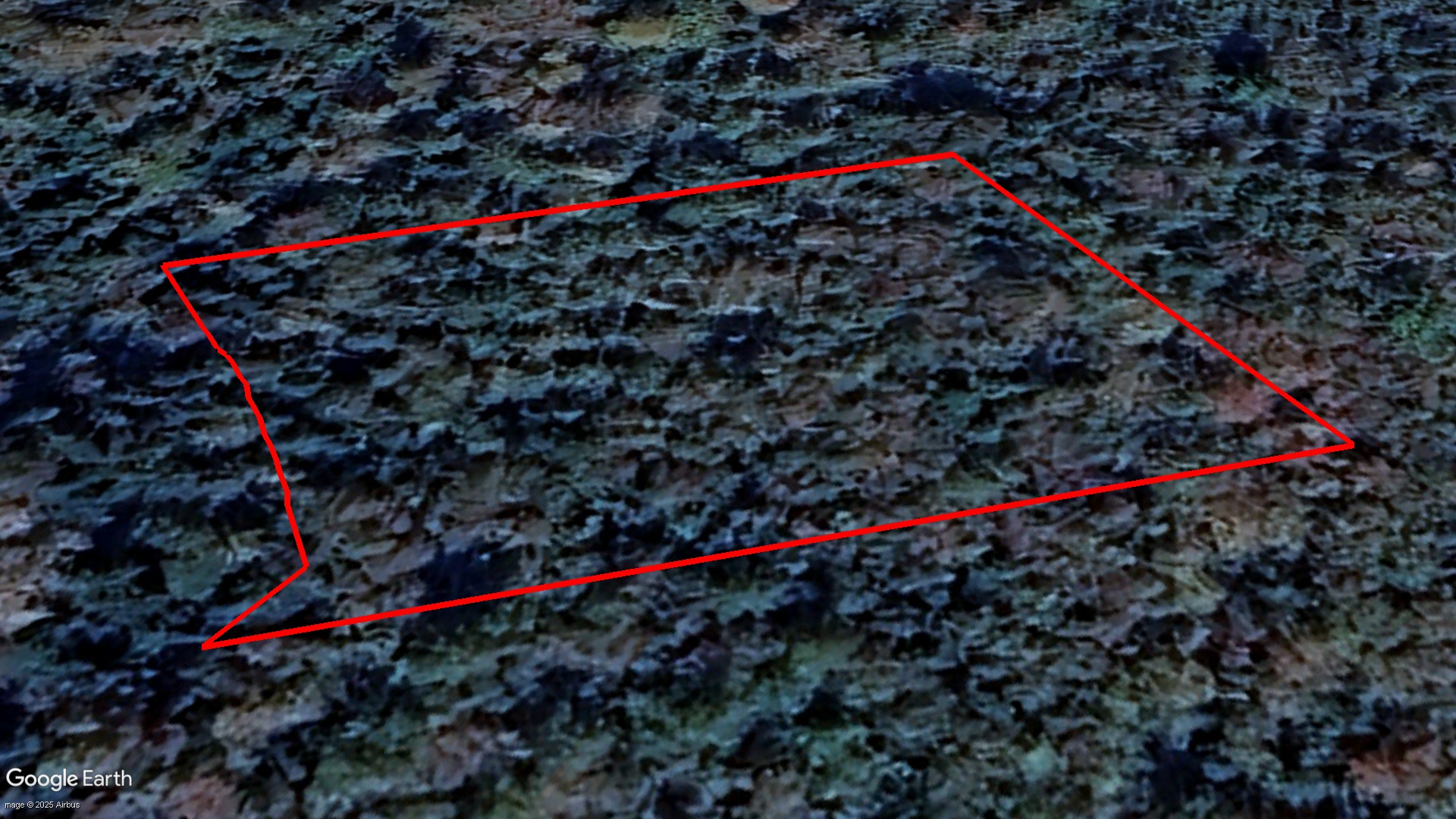 Tax Sale Shelburne, Nova Scotia - 03640205