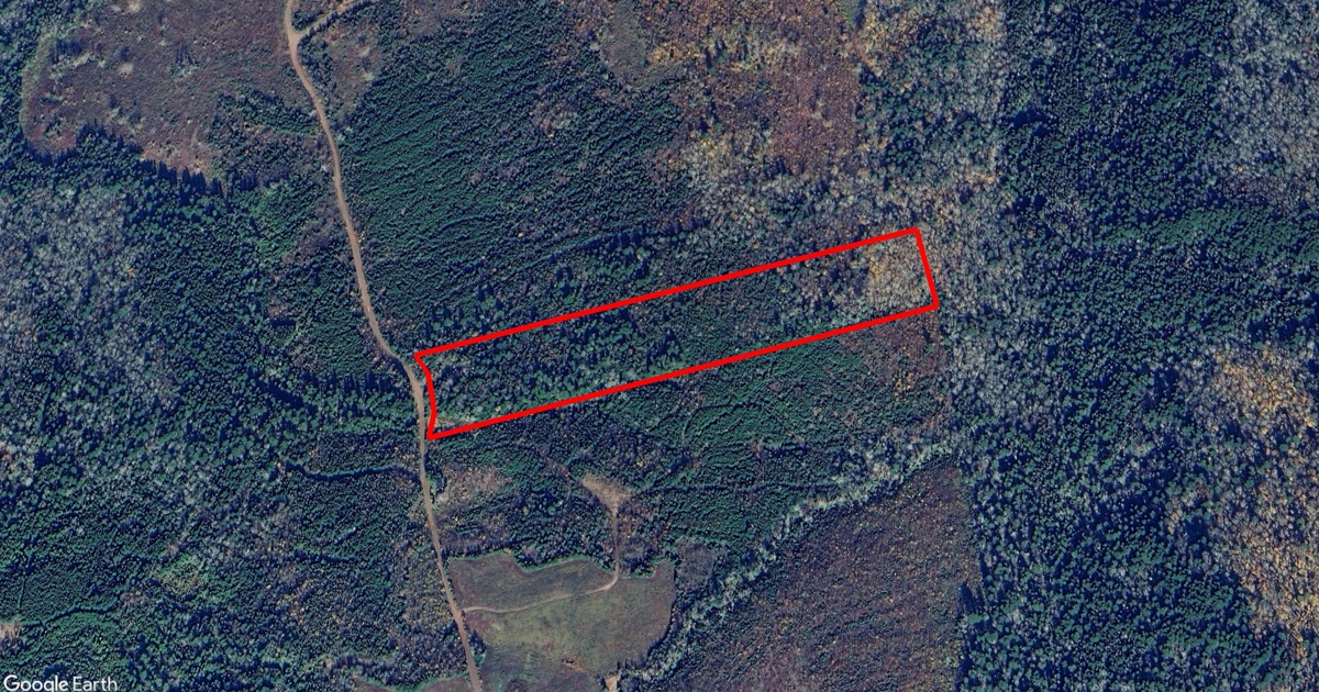 Tax Sale in Cumberland, Nova Scotia glasgow mountain rd, diligent