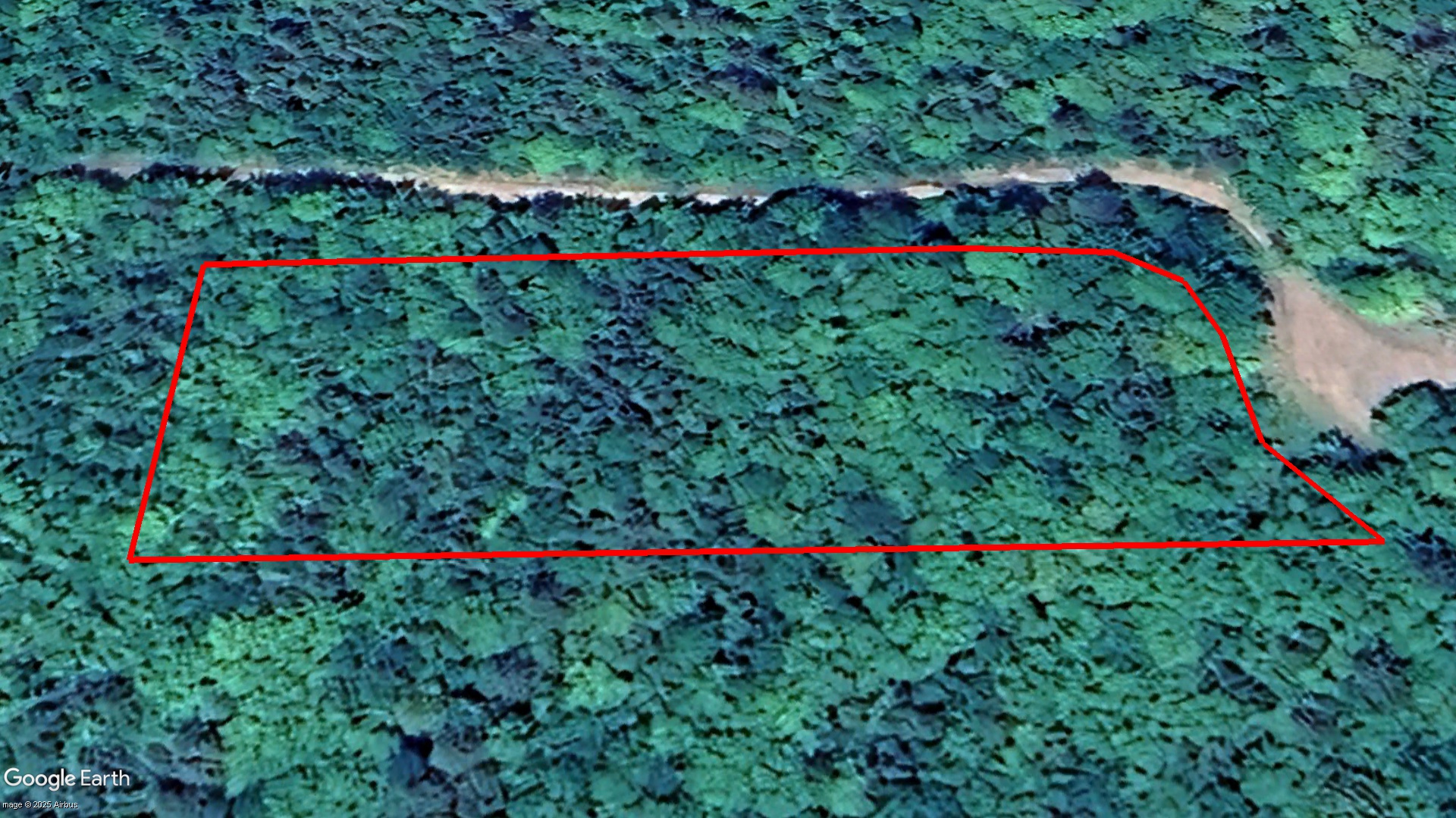 Tax Sale Inverness, Nova Scotia - 05572452