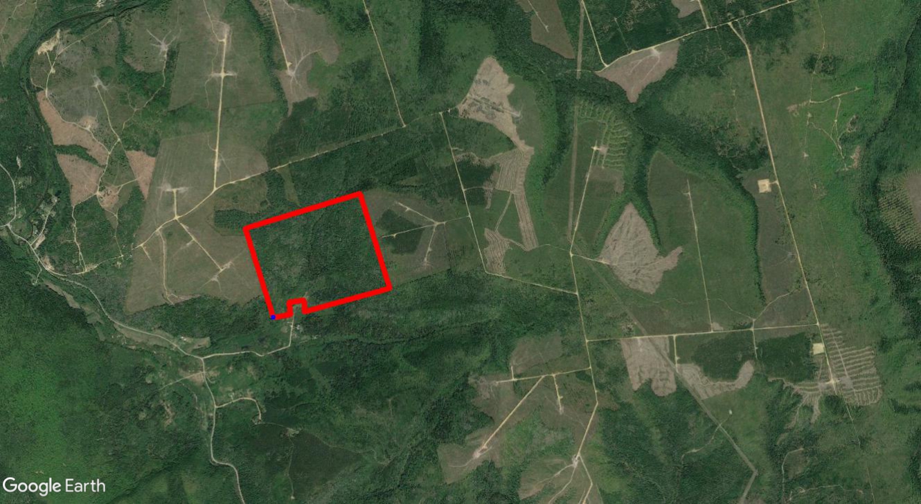 Tax Sale Moncton, New Brunswick - 01725831