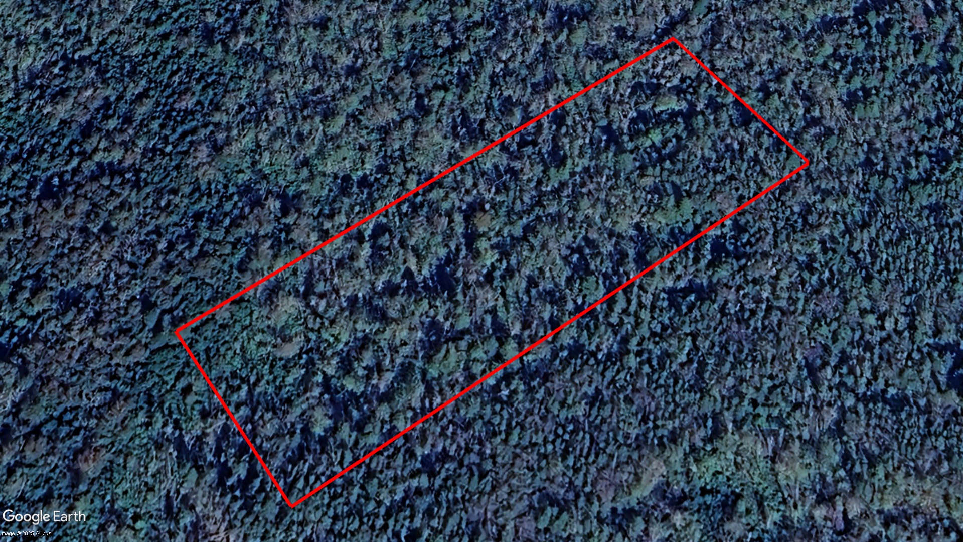 Tax Sale Halifax, Nova Scotia - 02485877