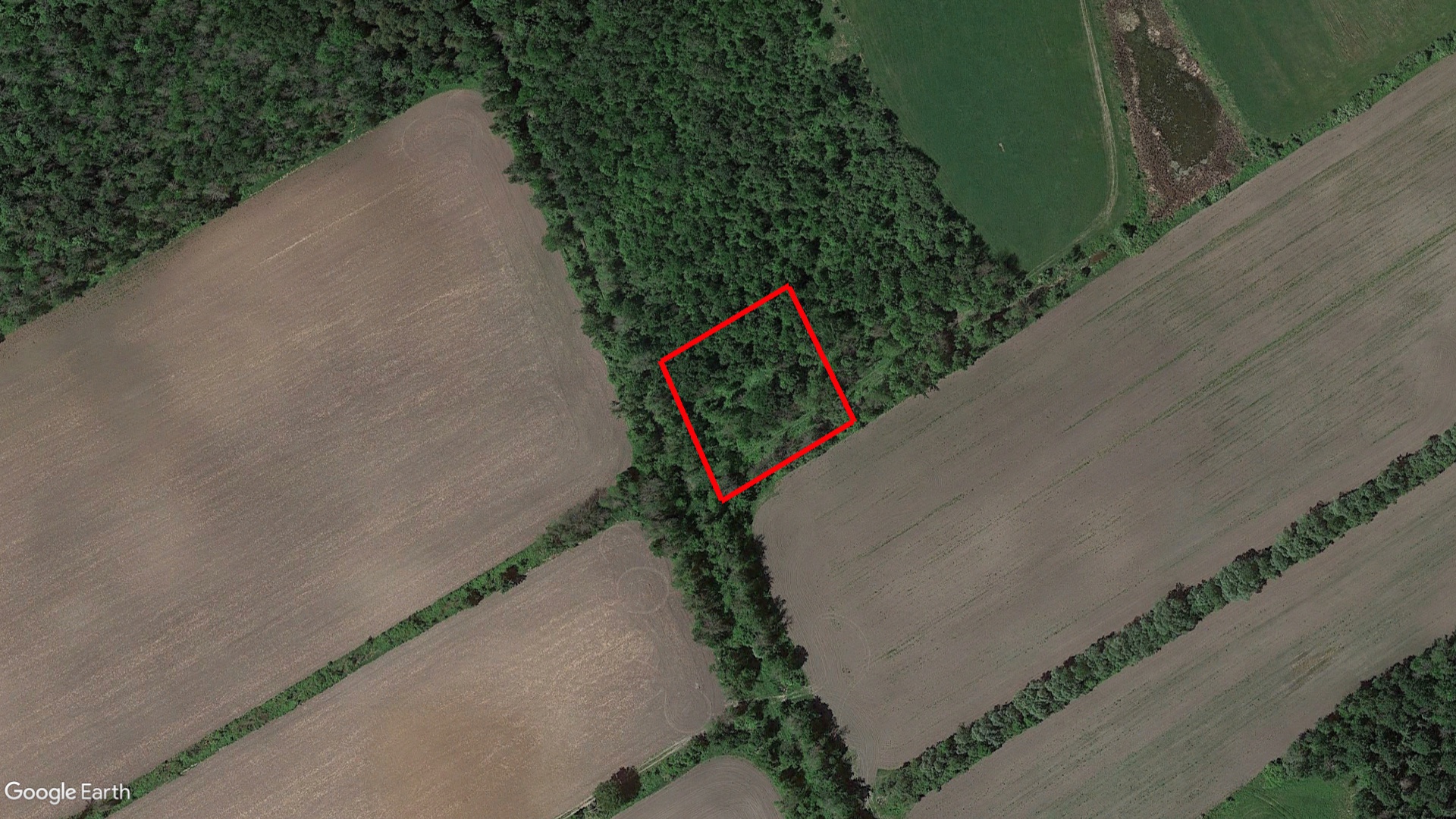 Tax Sale Ottawa, Ontario - 0614.700.030.04203.0000