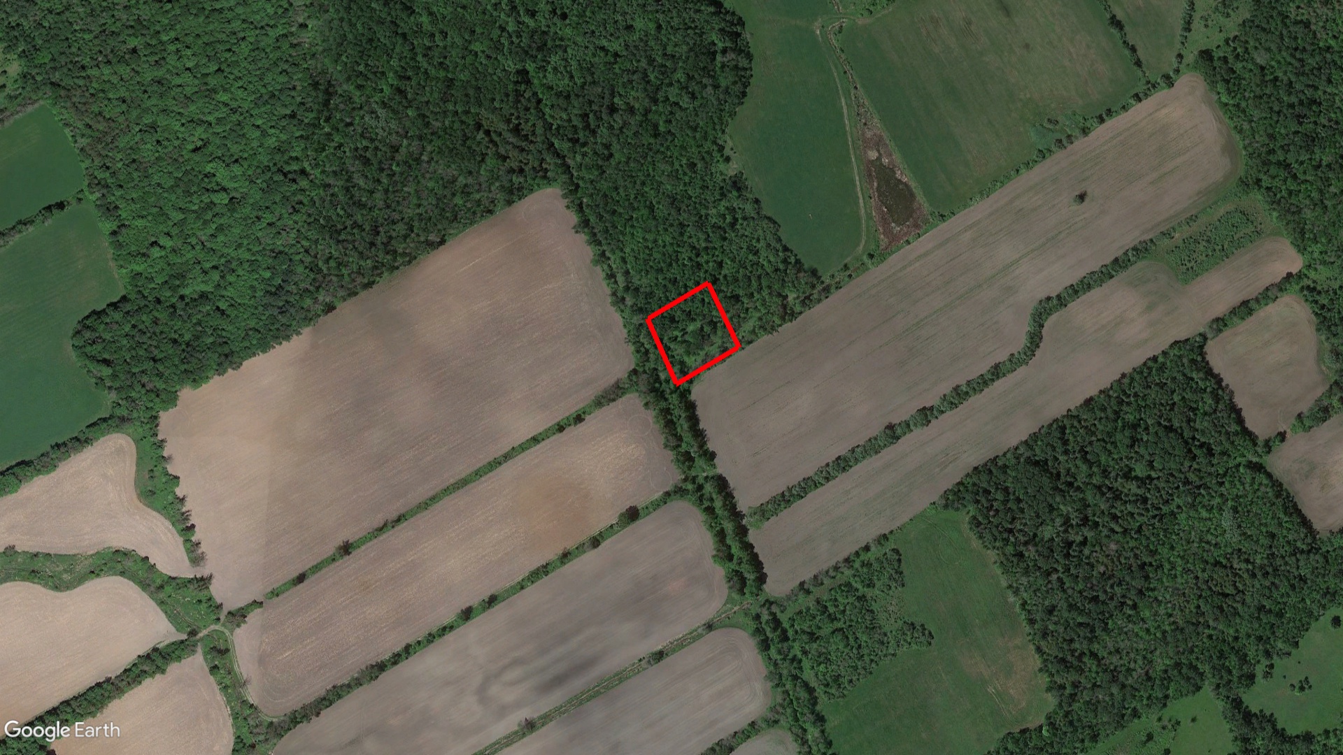 Tax Sale Ottawa, Ontario - 0614.700.030.04203.0000