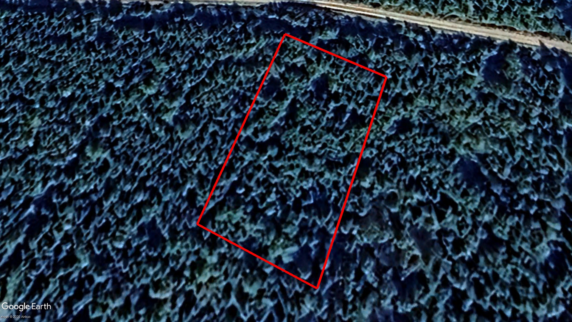 Tax Sale Inverness, Nova Scotia - 10615471