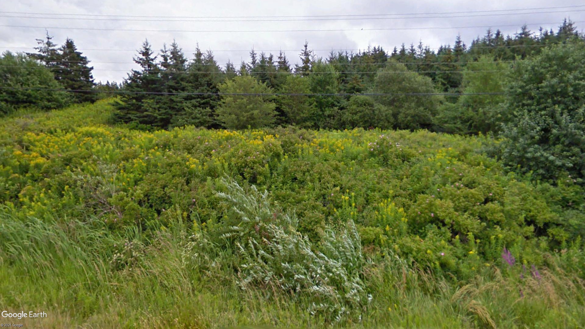 Tax Sale Antigonish, Nova Scotia - 02769786