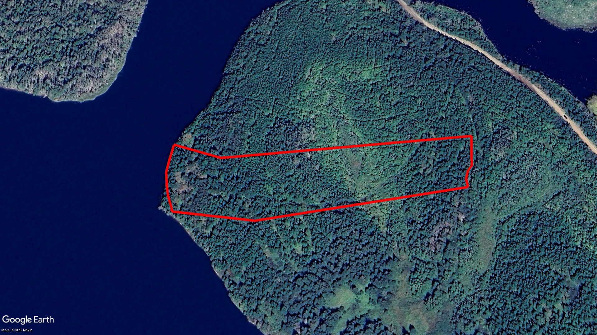Pig Point RD, Framboise