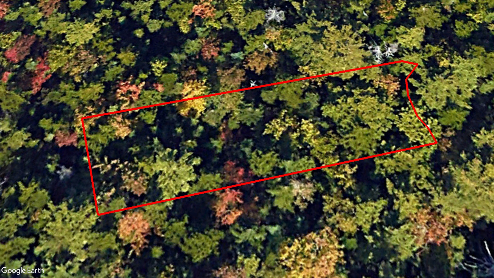 Tax Sale Halifax, Nova Scotia - 10923867