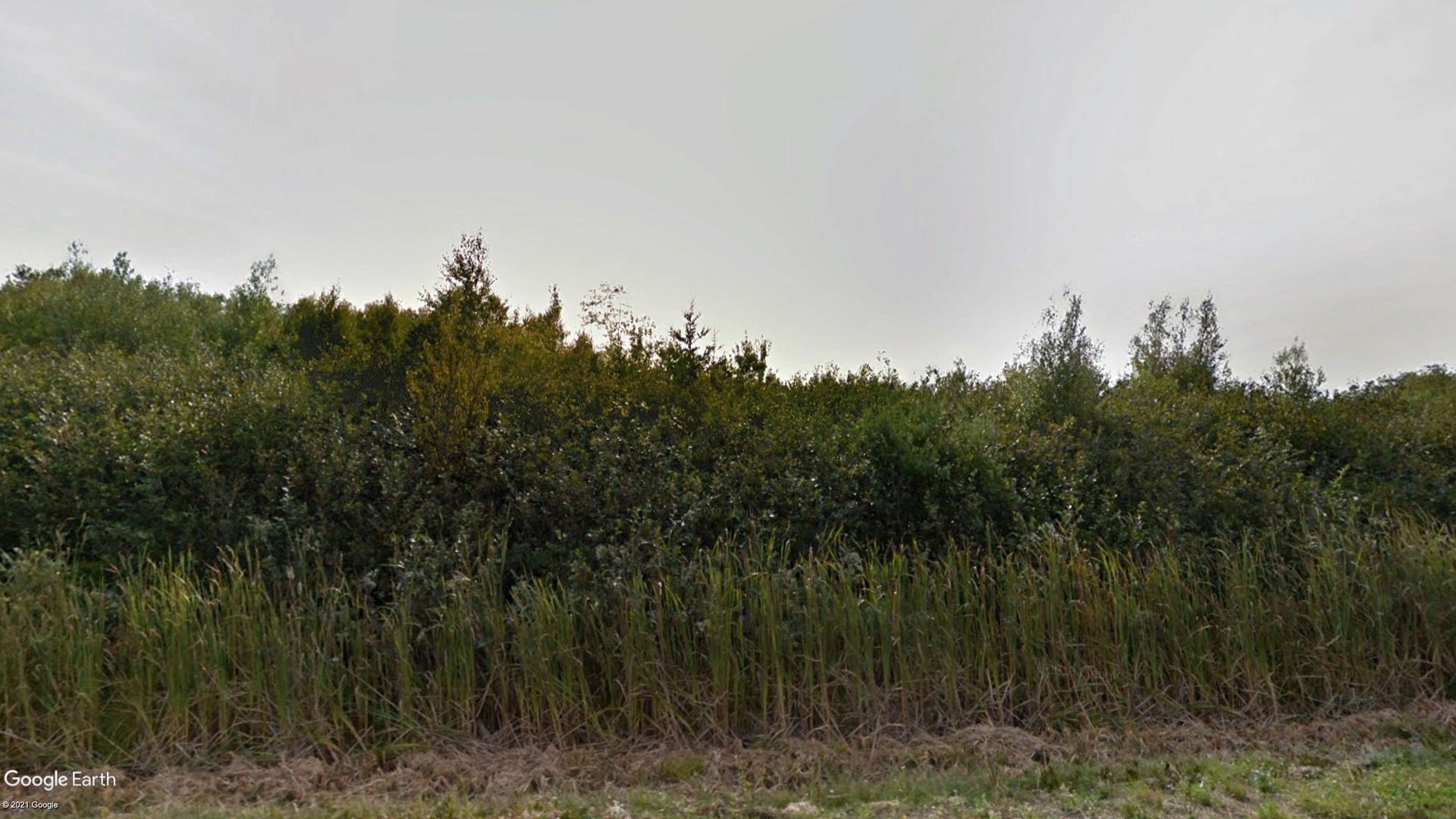 Tax Sale Clare, Nova Scotia - 00394343