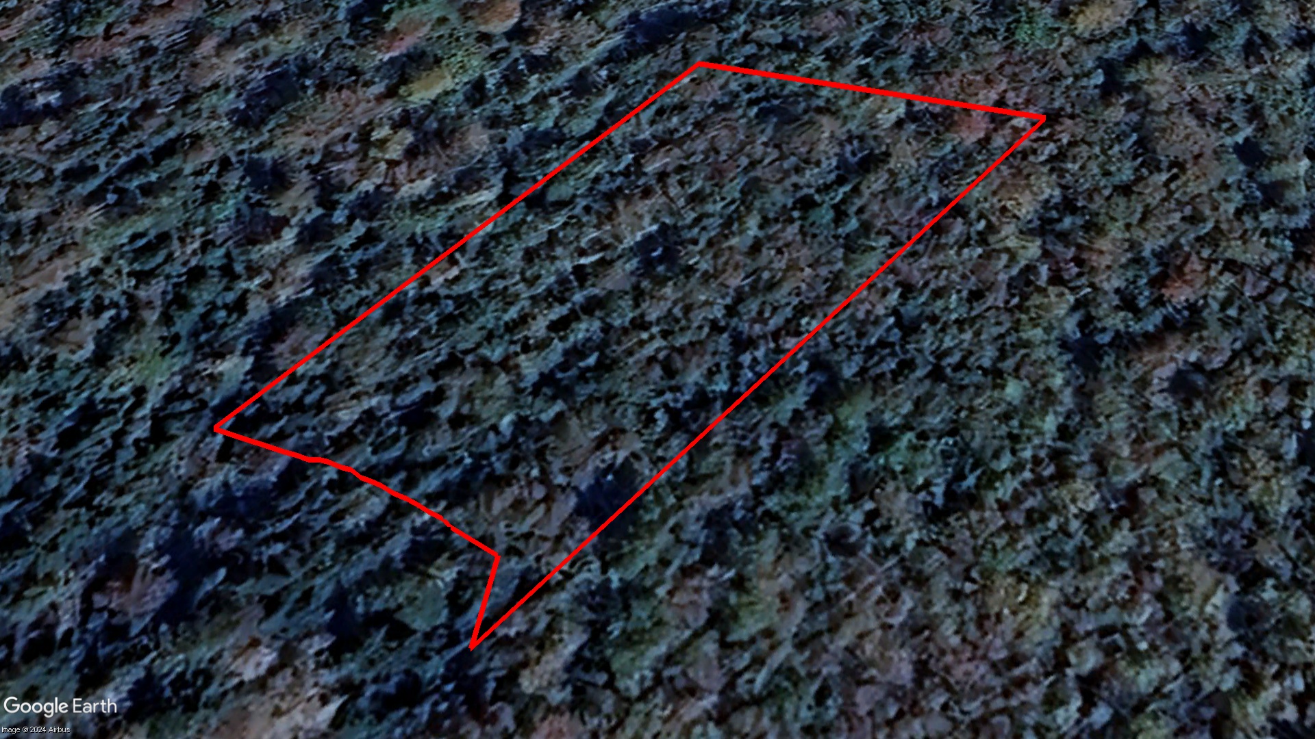 Tax Sale Shelburne, Nova Scotia - 03640205