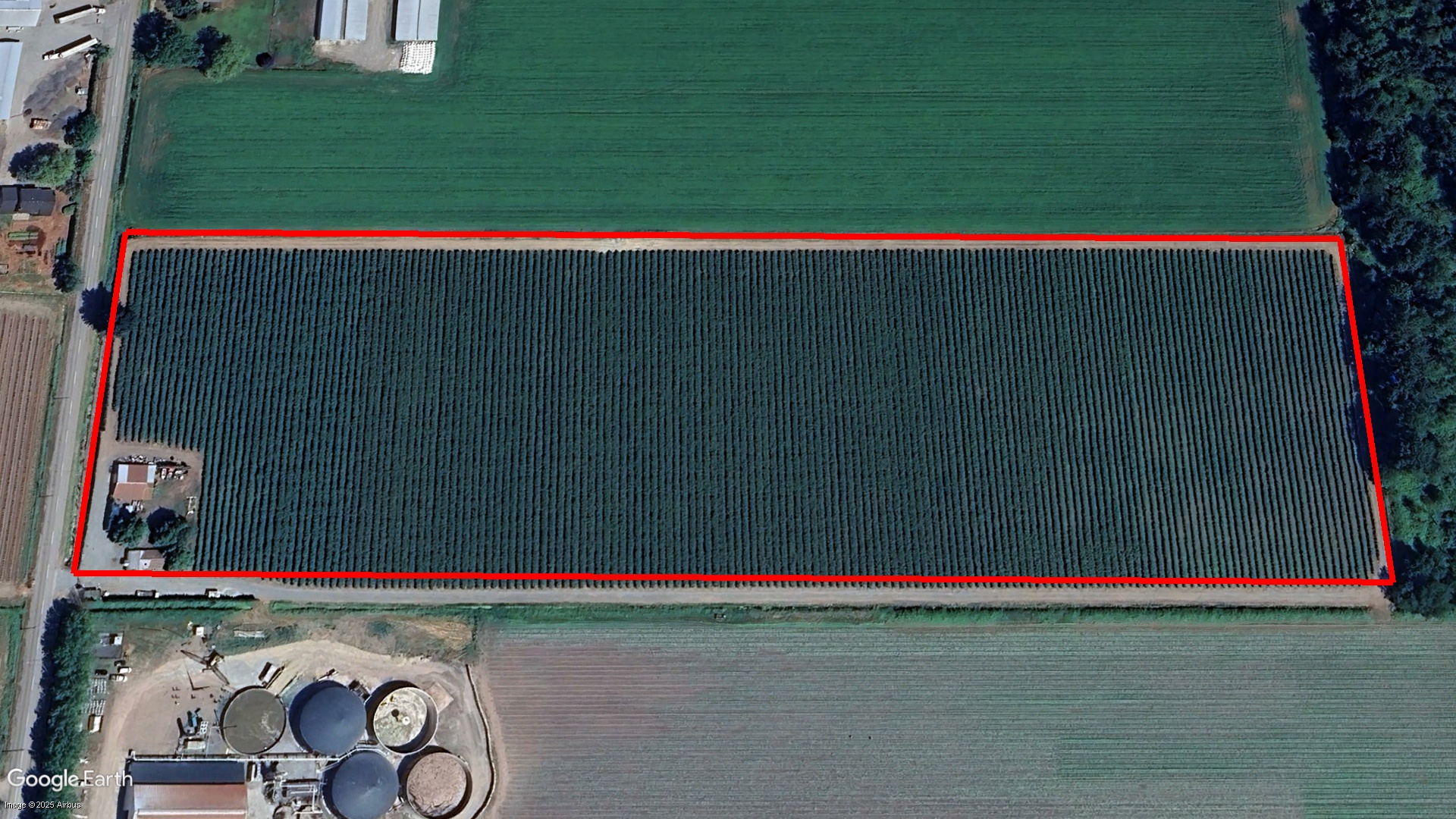 Tax Sale Abbotsford, British Columbia - 9134081604