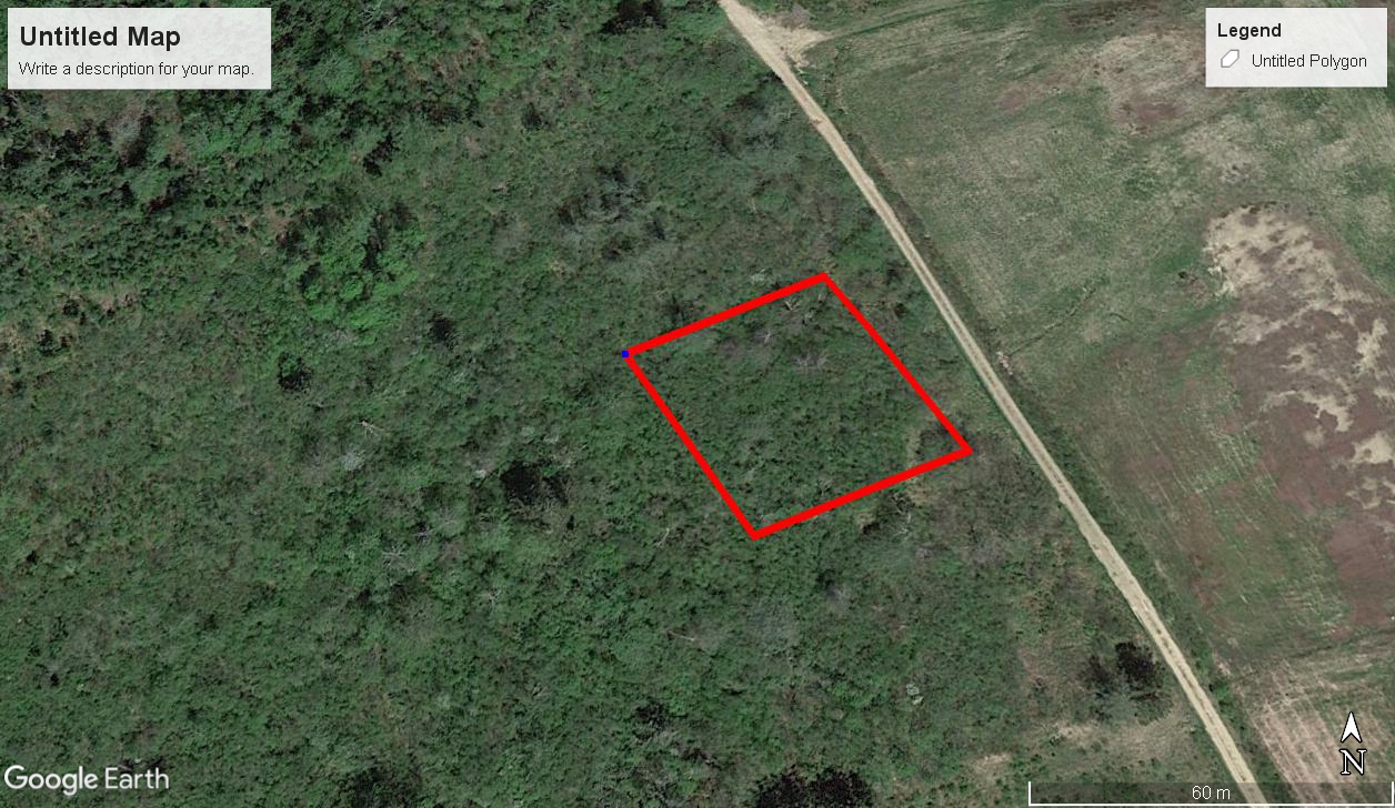 Tax Sale Moncton, New Brunswick -  02184567