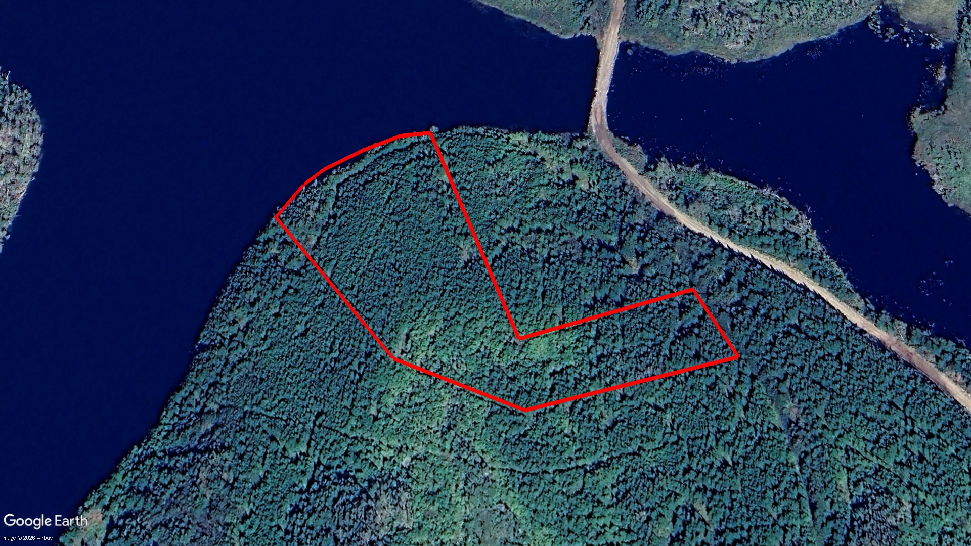 Pig Point RD, Framboise