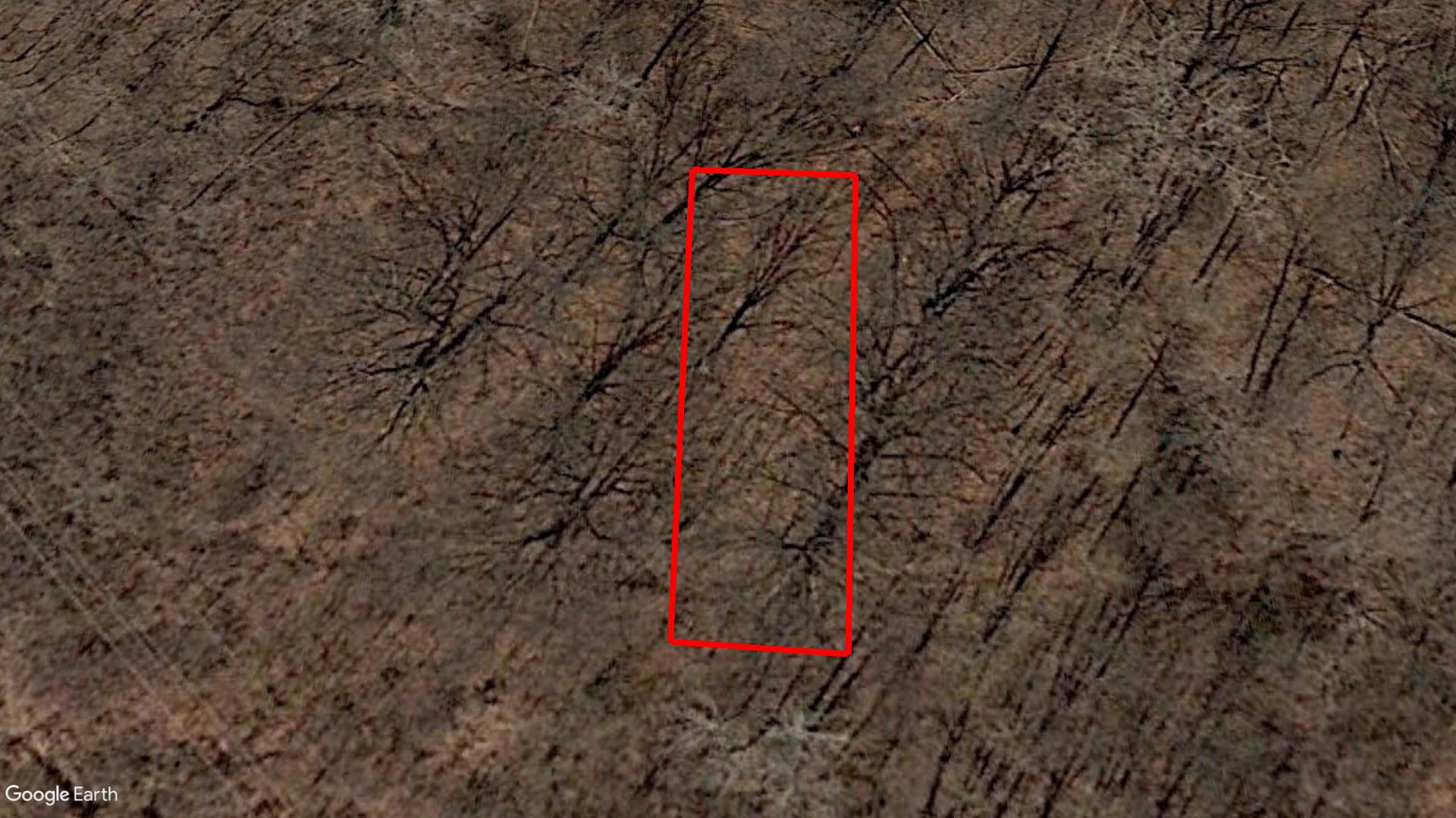 Tax Sale Lasalle, Ontario - 373421000012800