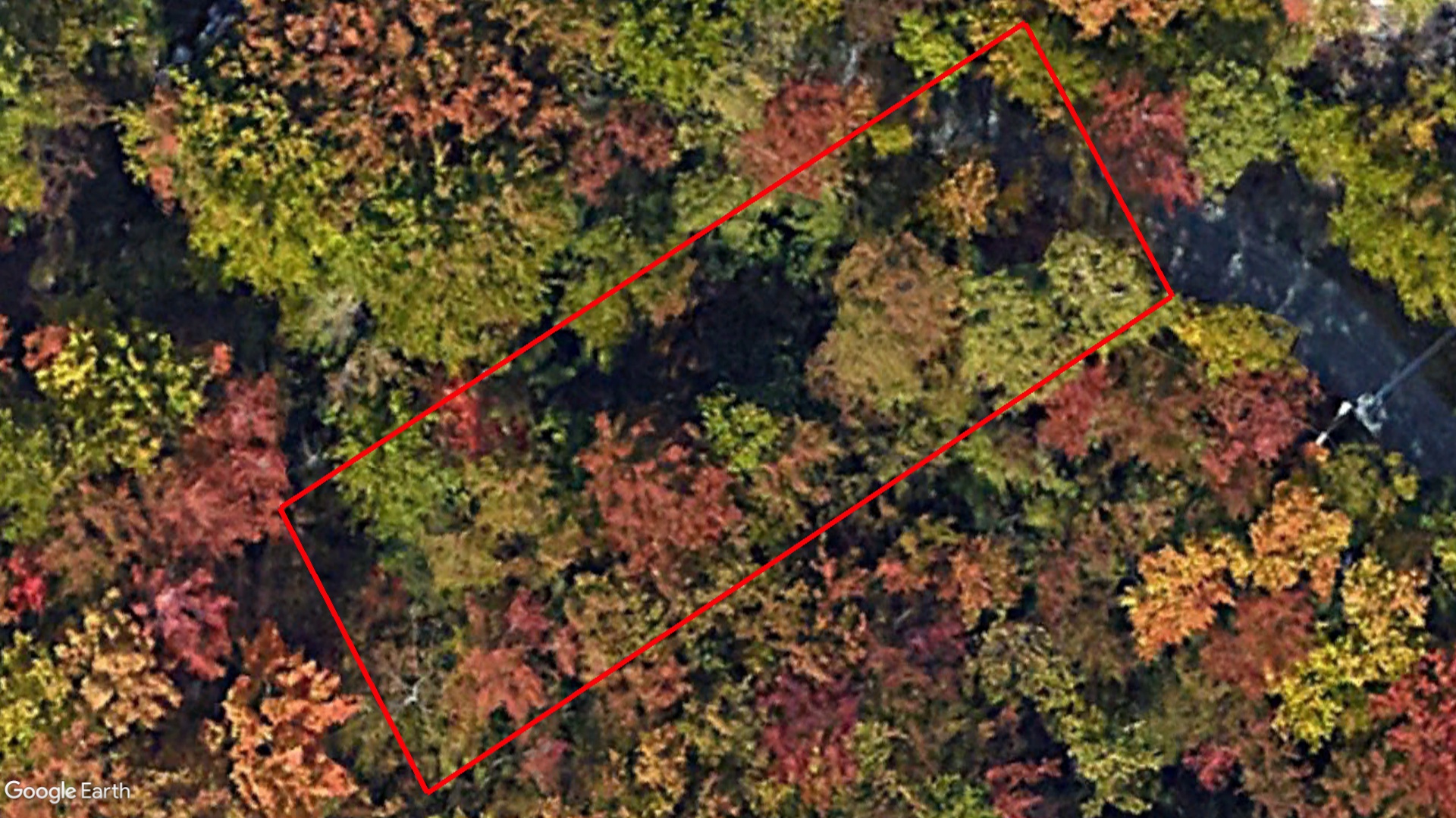 Tax Sale Halifax, Nova Scotia - 01597868