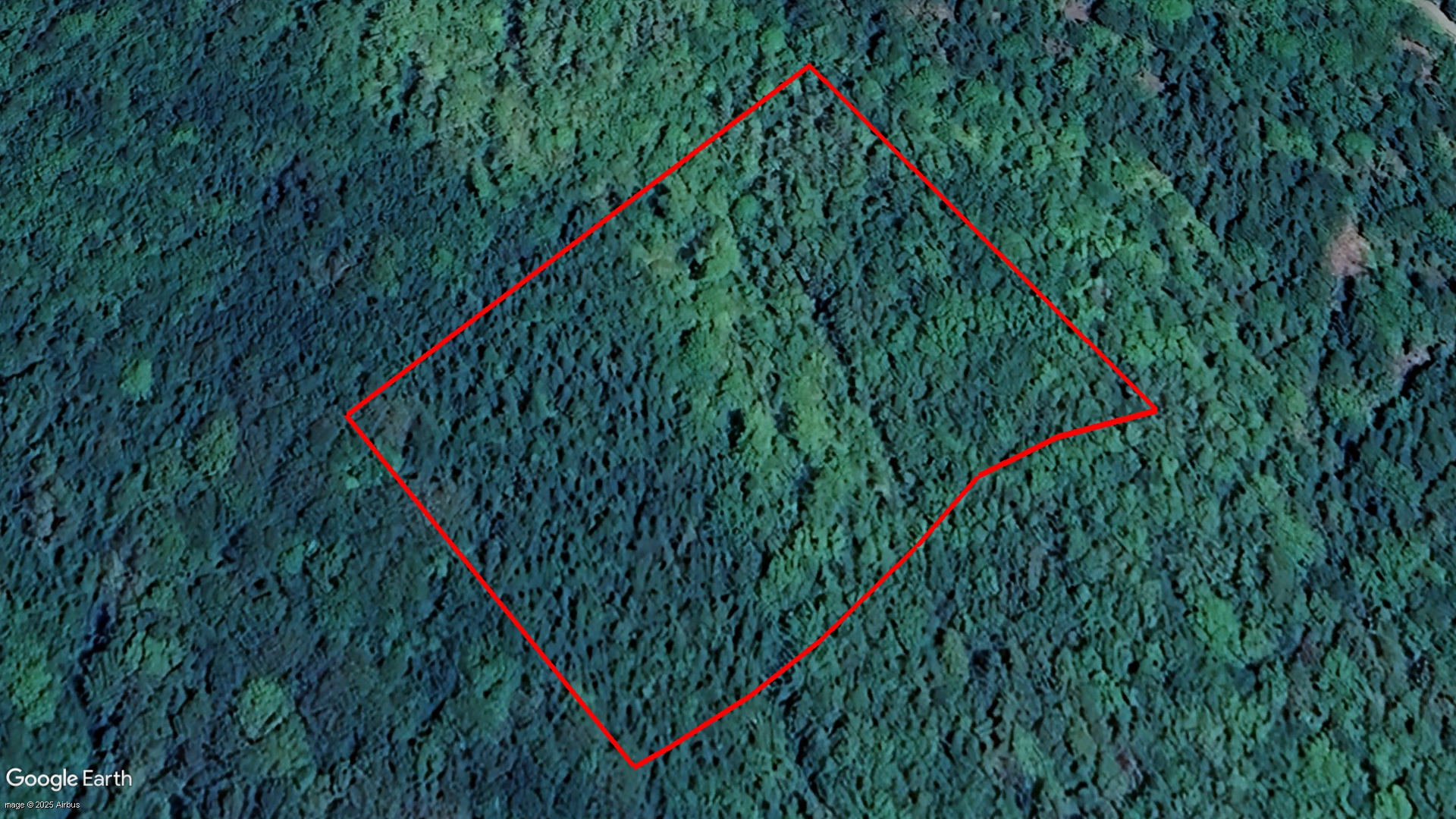 Tax Sale Clare, Nova Scotia - 01200178