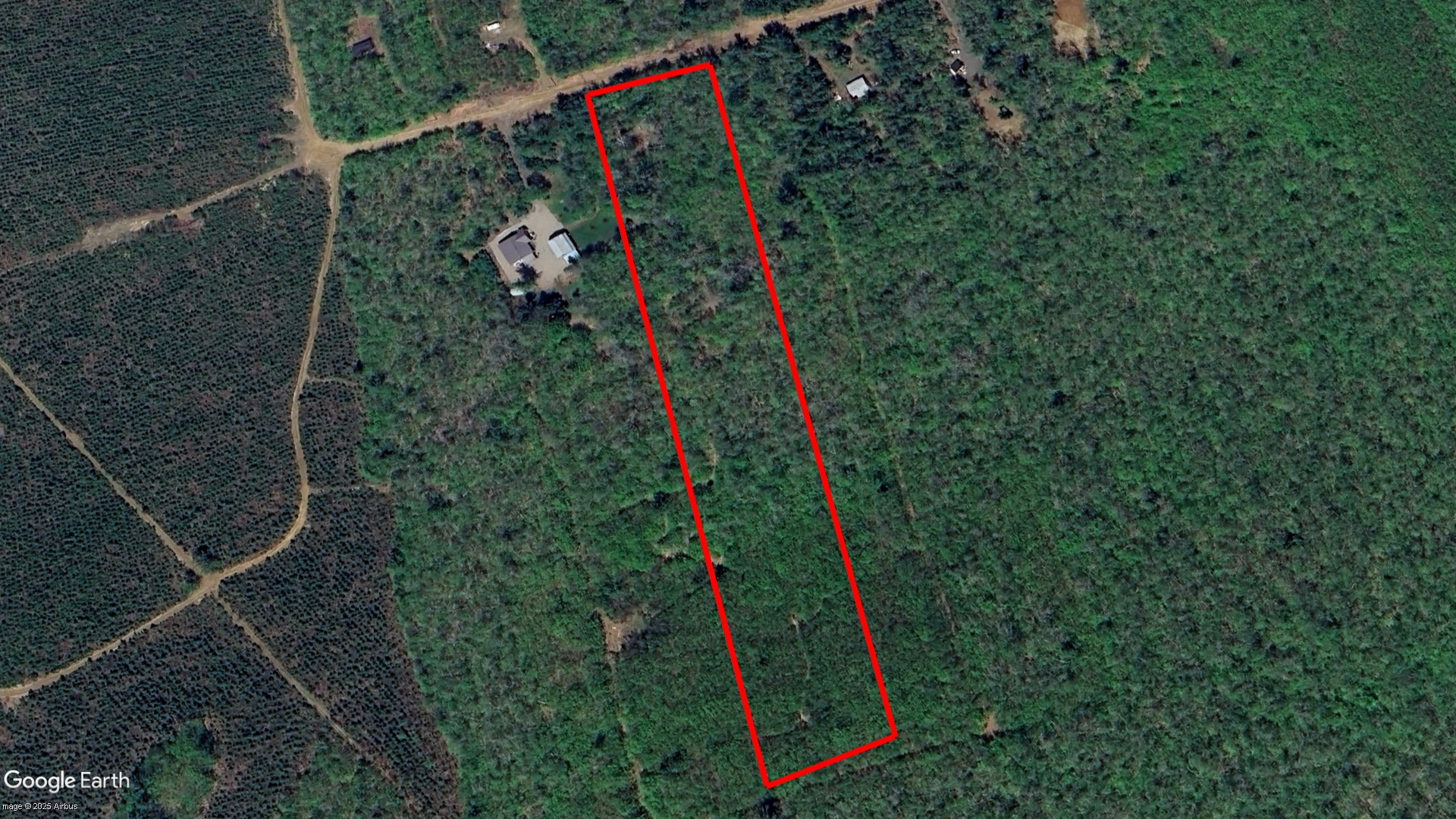 Tax Sale Albert Westmorland, New Brunswick - 01735640