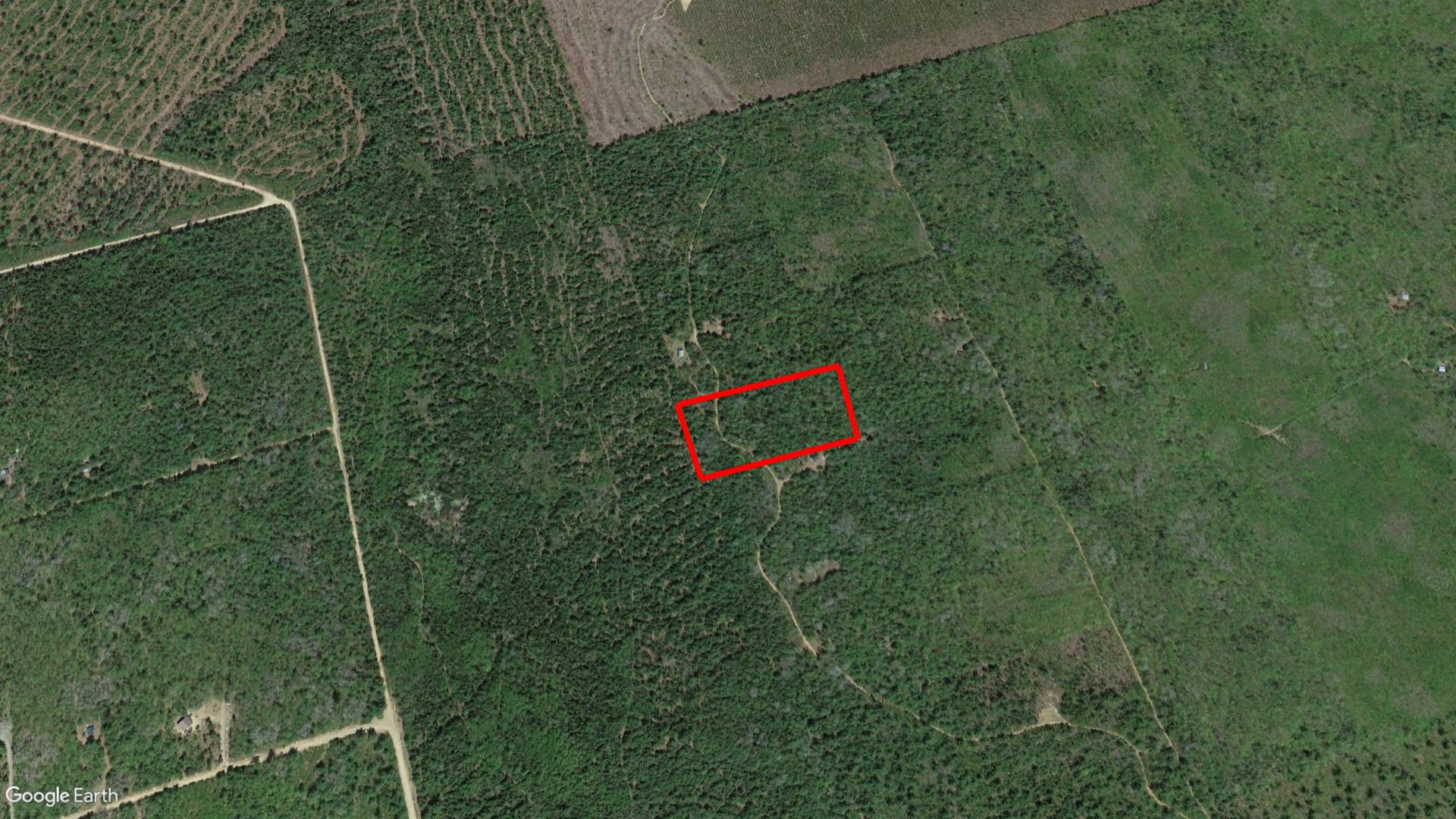 Tax Sale Albert Westmorland, New Brunswick - 04071980