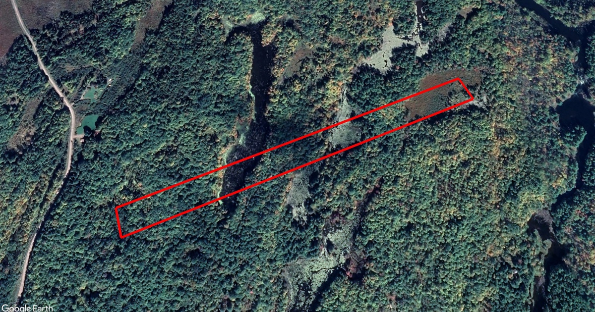 Tax Sale in Marmora and Lake, Ontario marmora and lake Tax Sales Hub