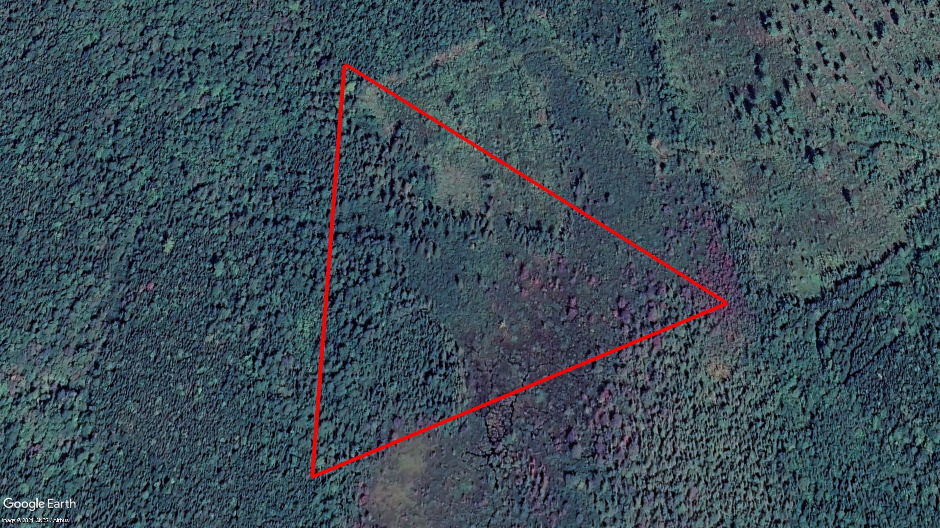 Tax Sale Fredericton, New Brunswick - 06393621 