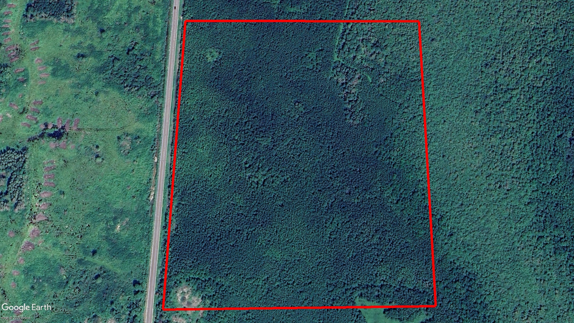 Tax Sale Lake of the Woods, Ontario - 