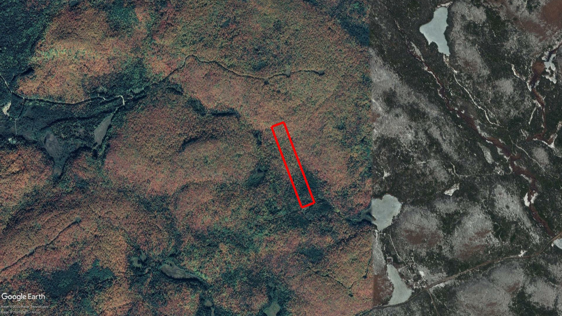 Tax Sale Kearney, Ontario - 49 18 020 006 03000