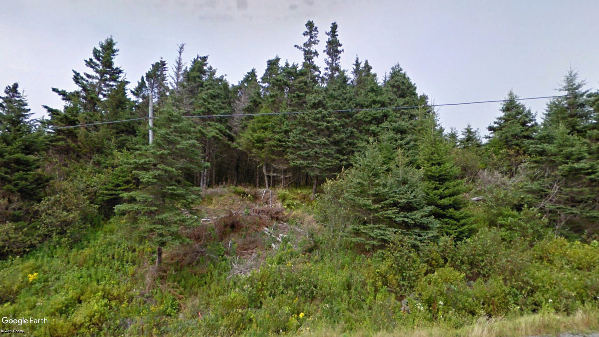 Tax Sale St. Mary's, Nova Scotia - 1456547