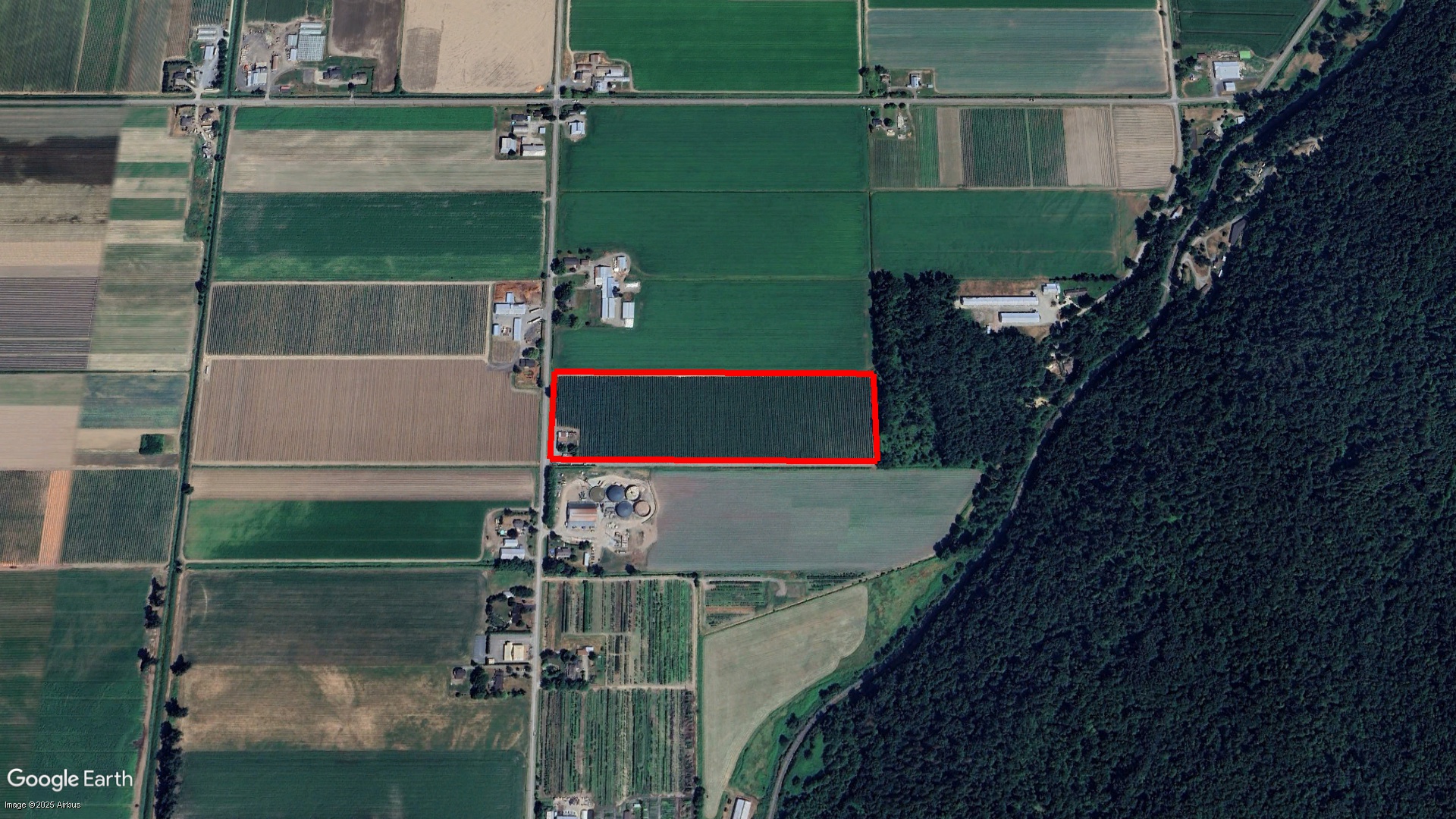 Tax Sale Abbotsford, British Columbia - 9134081604