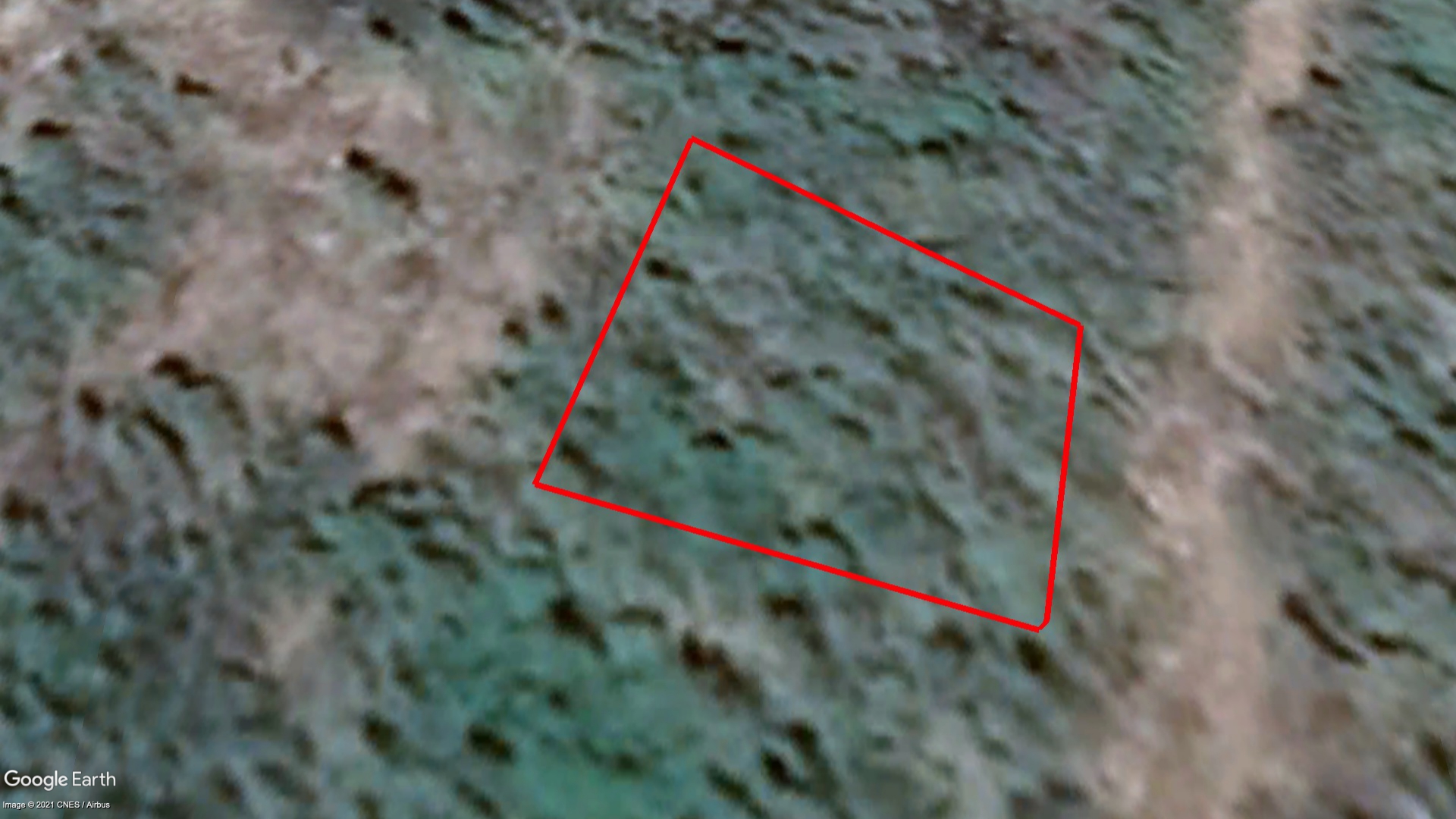 Tax Sale Chester, Nova Scotia - 02554216