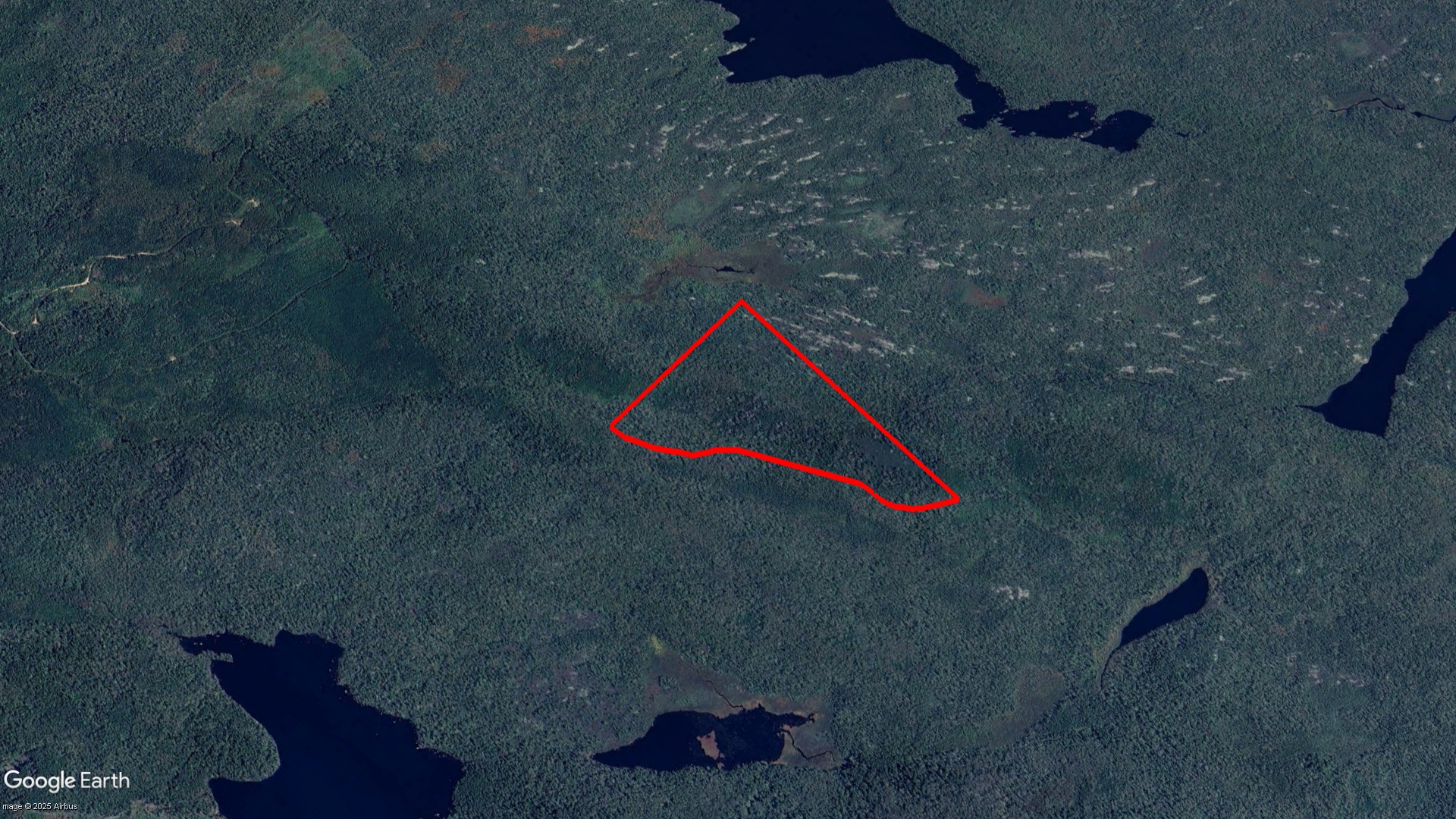 Tax Sale Halifax, Nova Scotia - 09195114