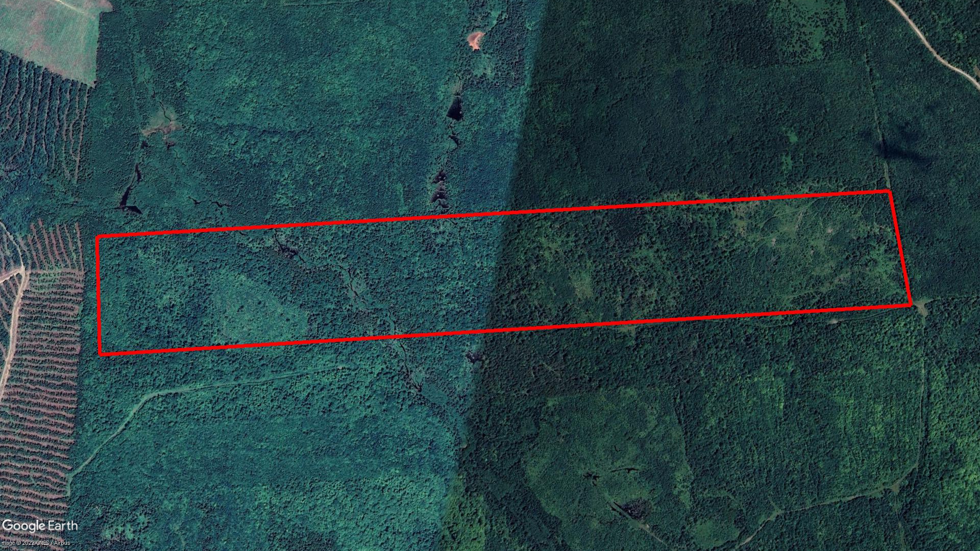 Tax Sale York/Sunbury, New Brunswick - 00733386