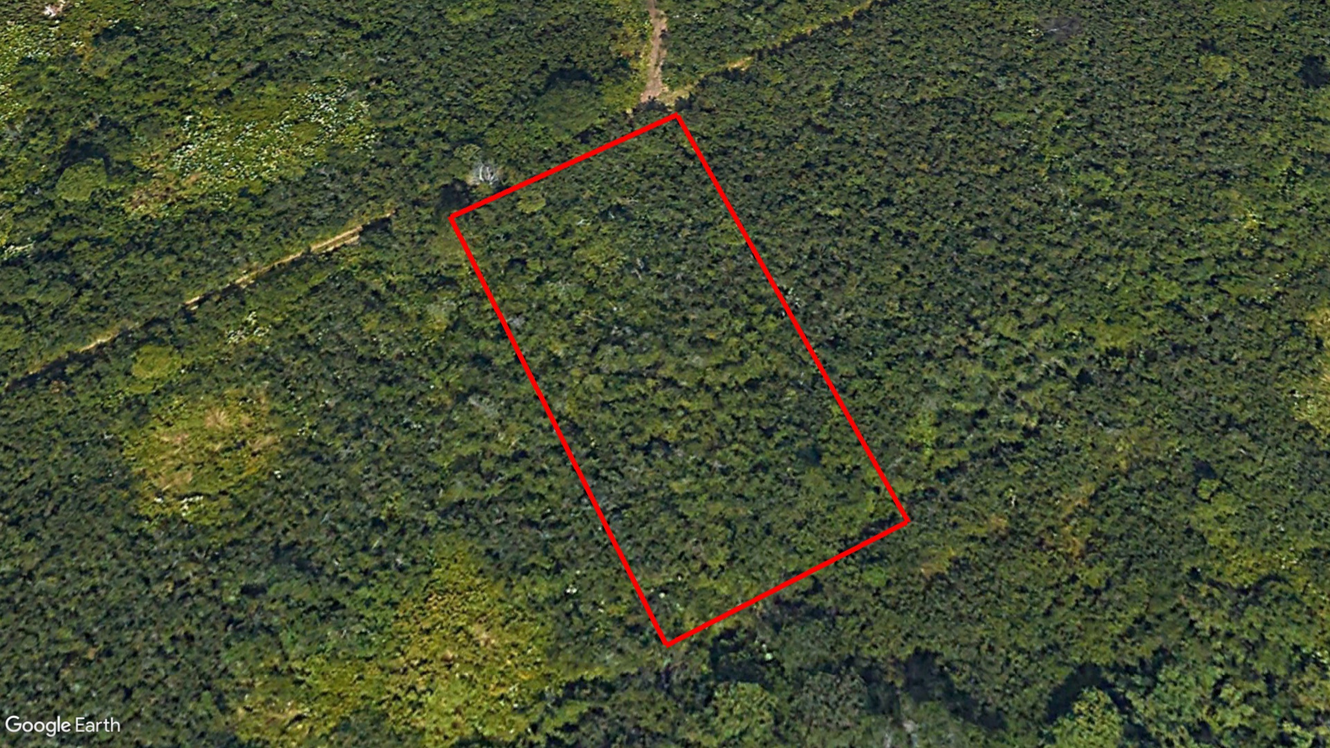 Tax Sale Saint John, New Brunswick - 01578519