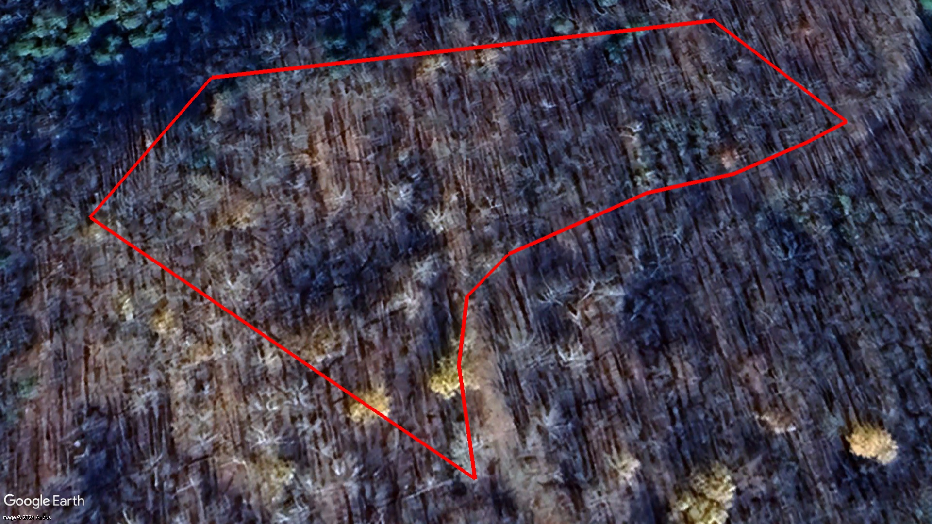 Tax Sale Rideau Lakes, Ontario - 08 31 836 041 00549 0000