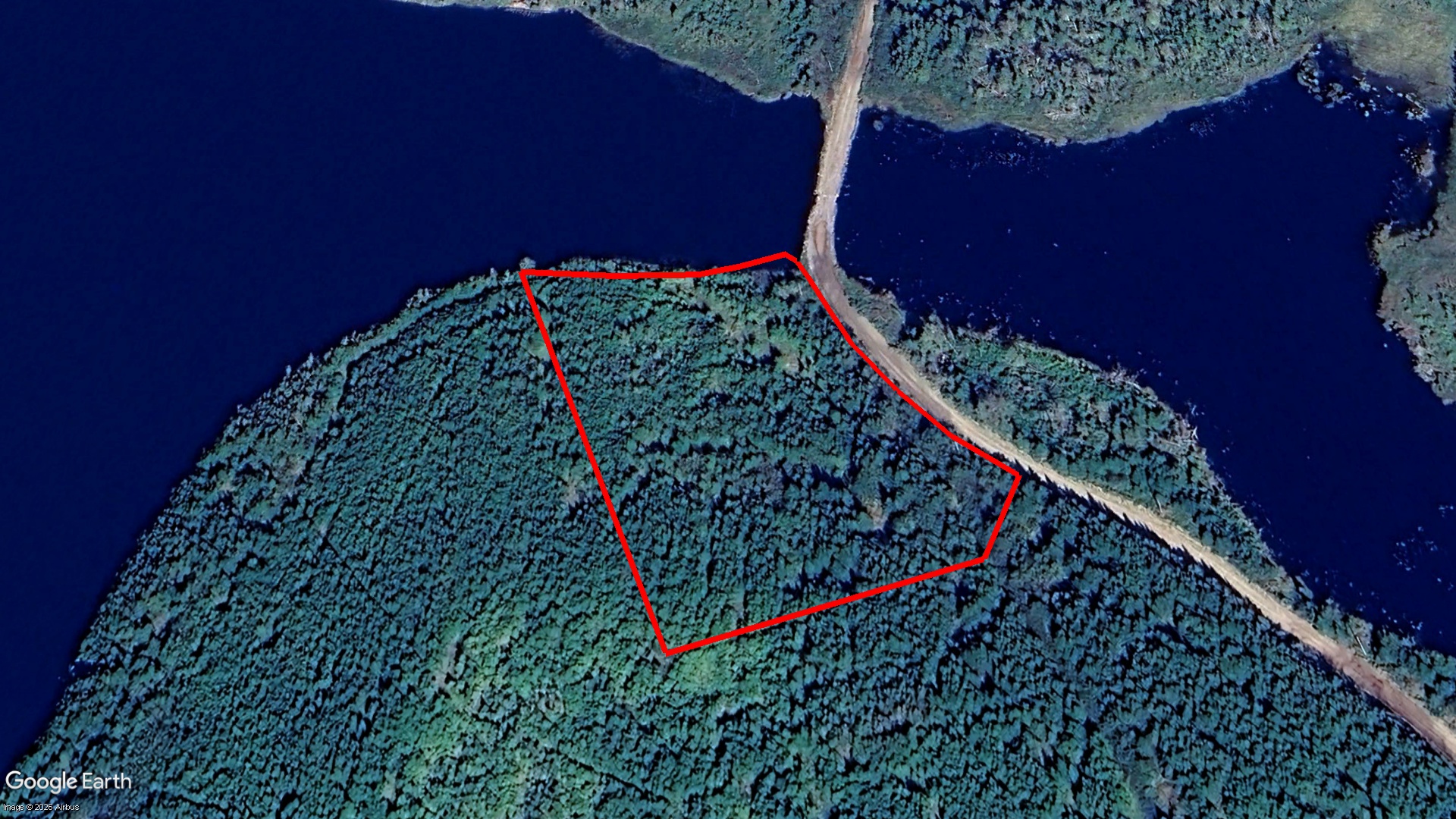 Pig Point RD, Framboise