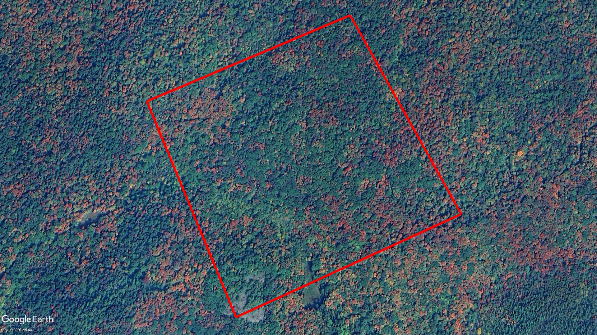 Tax Sale Magnetawan, Ontario - 49 44 010 001 25310 0000