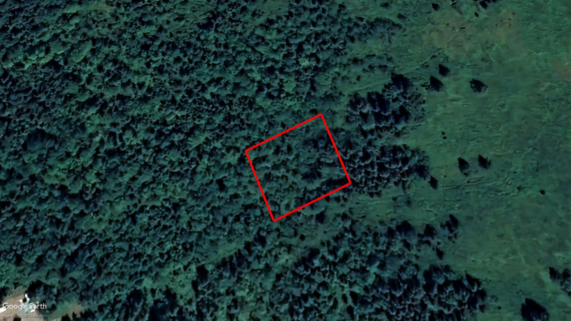 Tax Sale Moncton, New Brunswick - 02549149