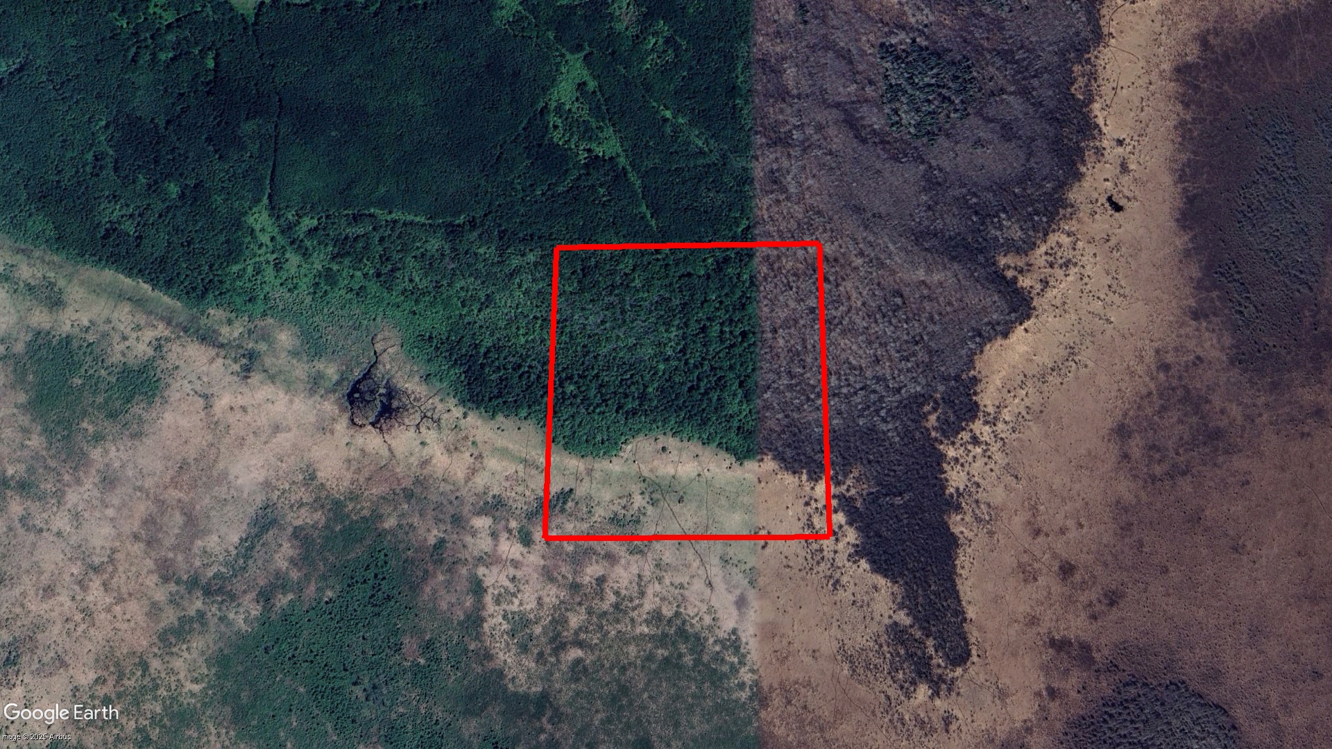 Tax Sale Dawson, Ontario - 