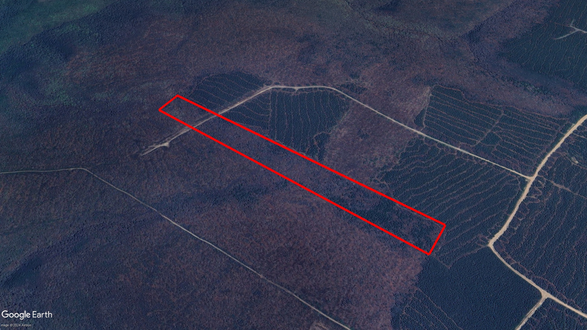 Tax Sale Inverness, Nova Scotia - 10475074